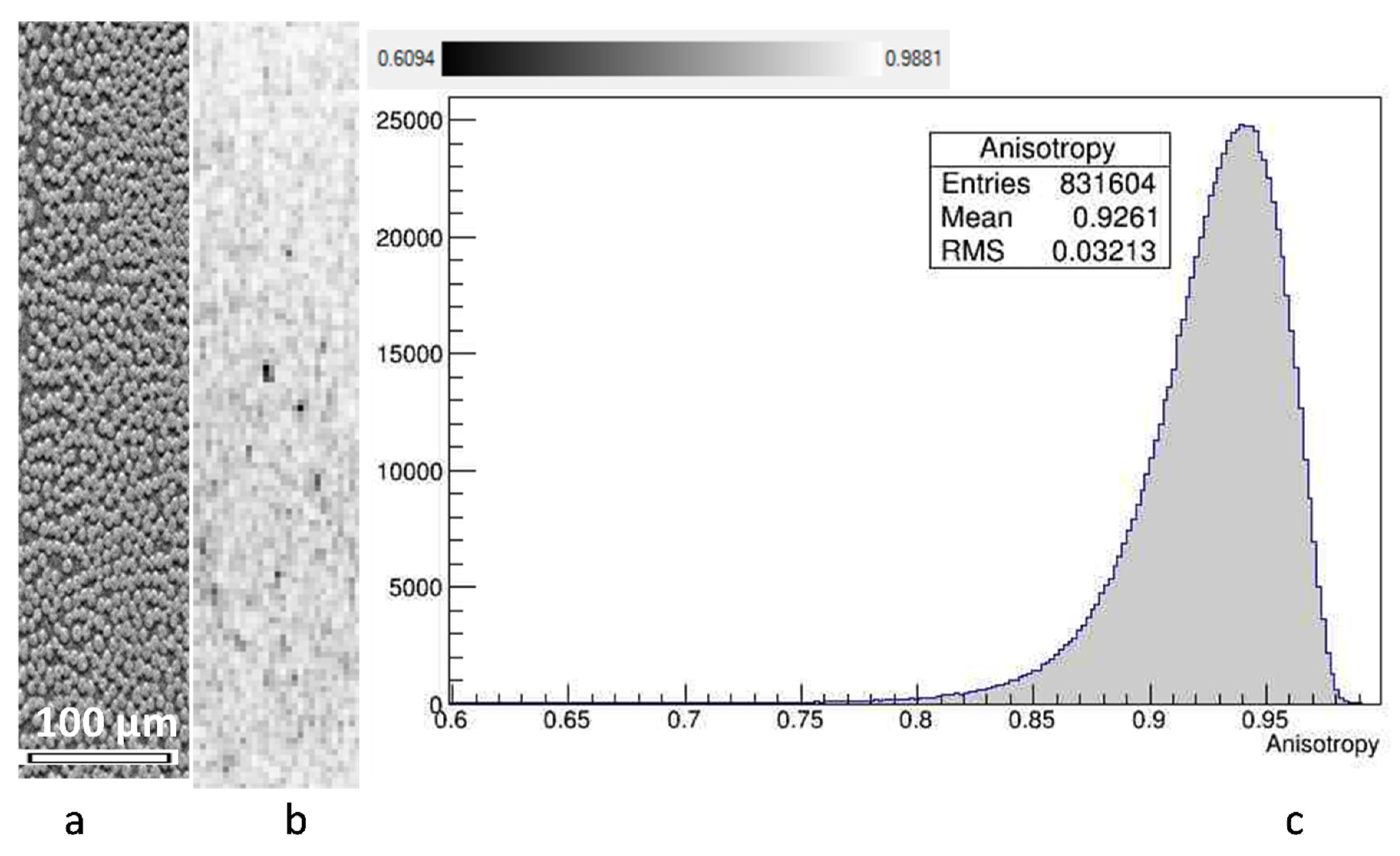 Polymers 14 04644 g005