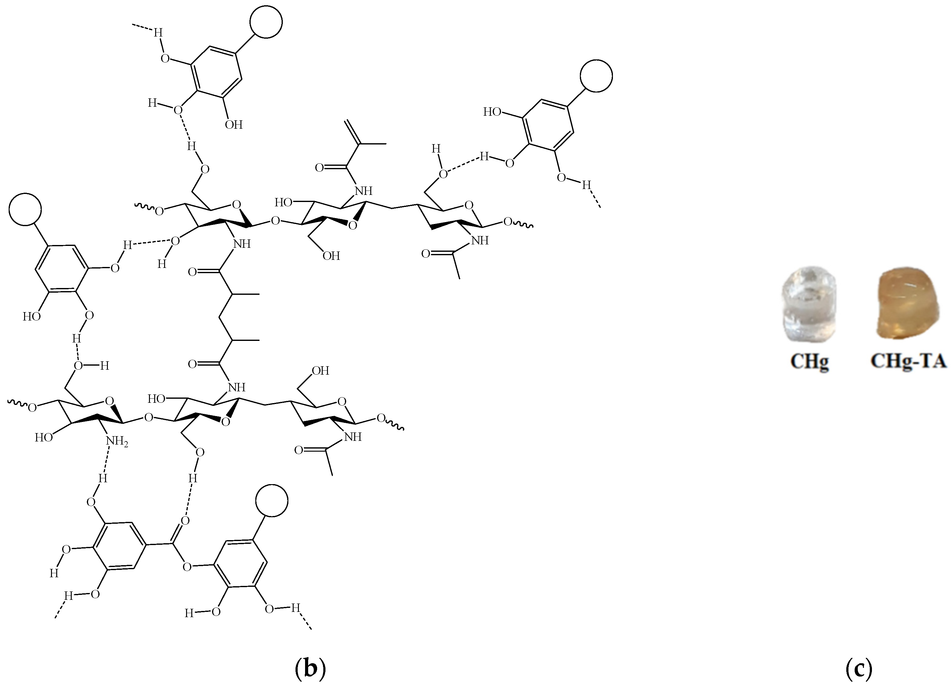 Polymers 14 04645 g003b Polymers 14 04645 g003b