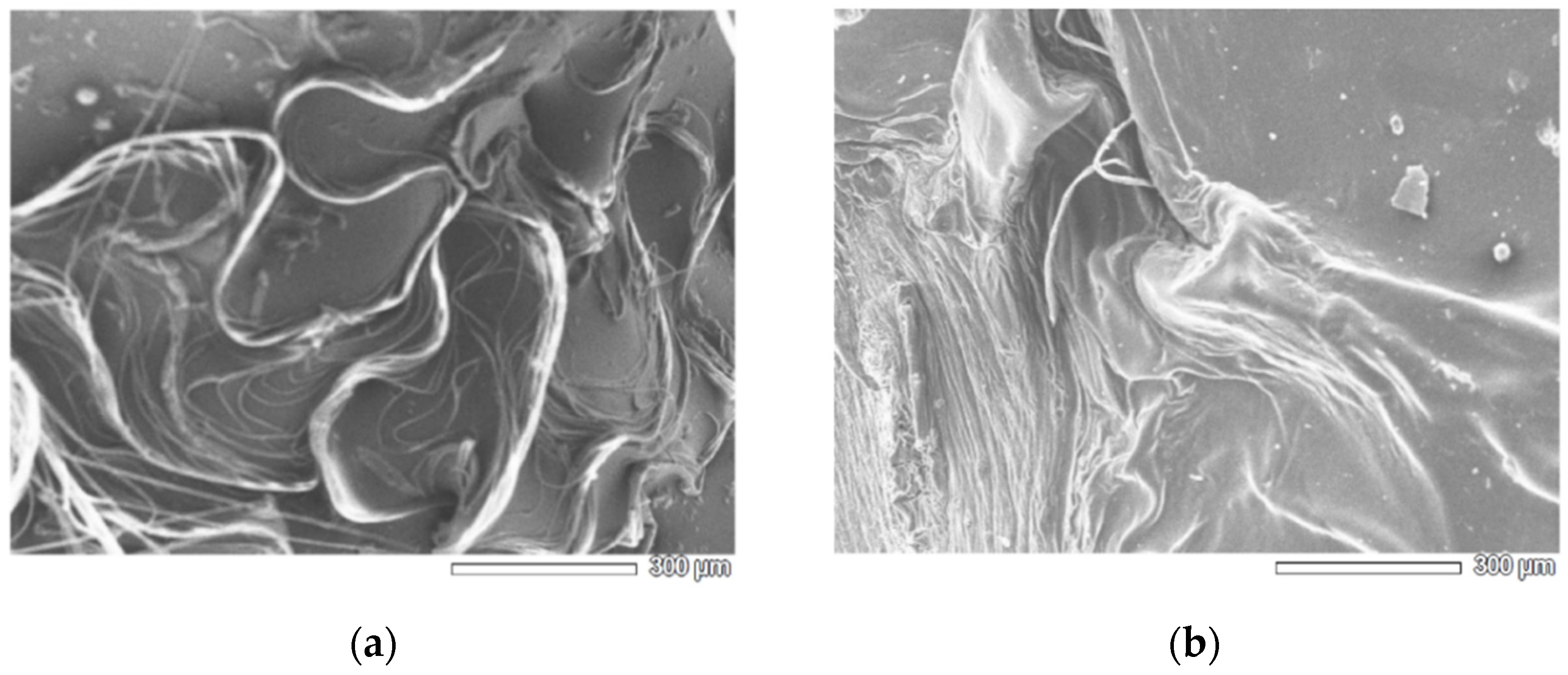 Polymers 14 04645 g004 Polymers 14 04645 g004