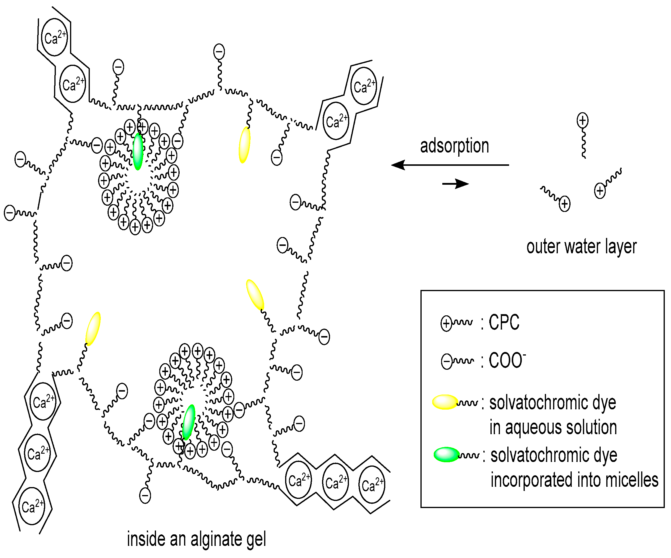 Polymers 14 04649 g001 Polymers 14 04649 g001