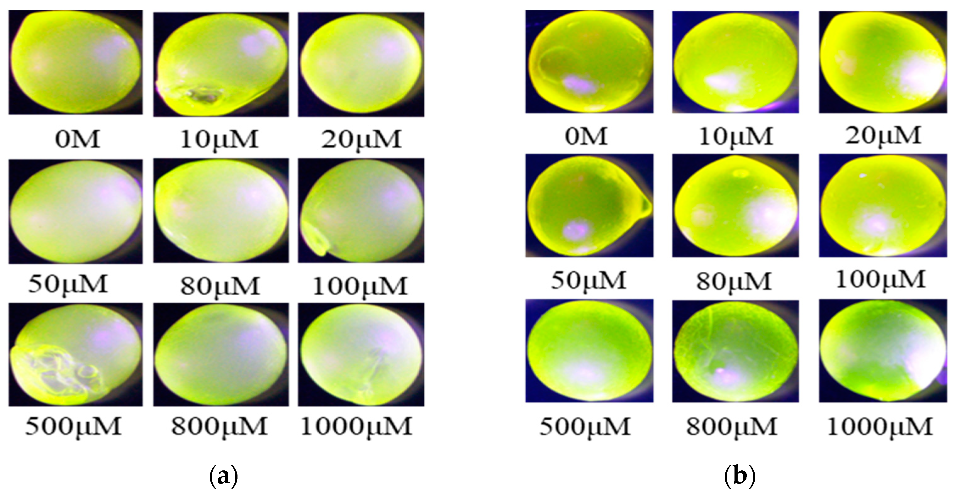 Polymers 14 04649 g004 Polymers 14 04649 g004