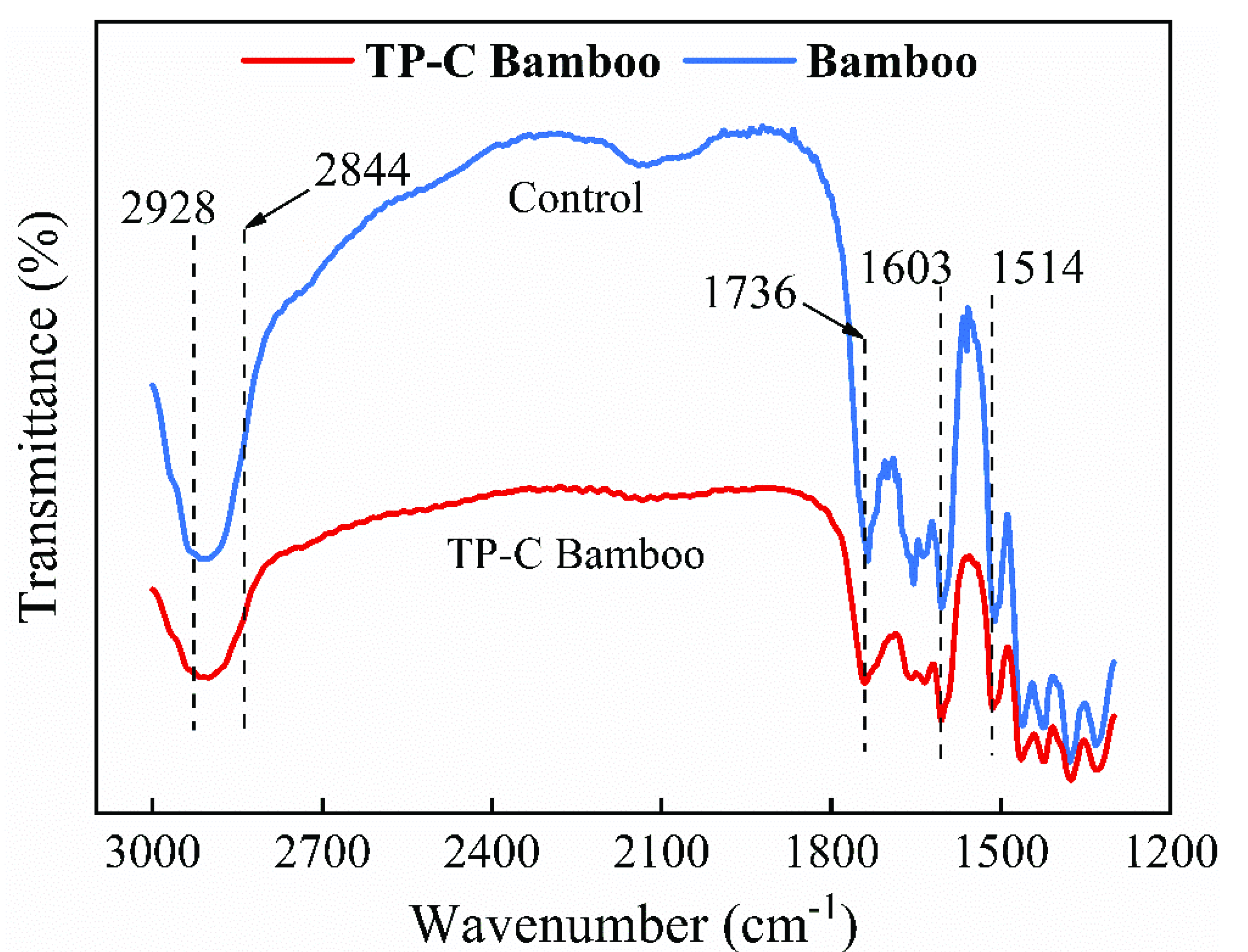 Polymers 14 04652 g006