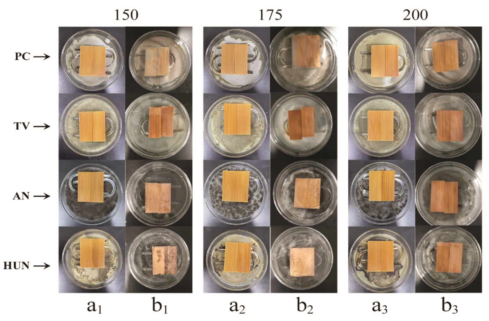 Polymers 14 04652 g008
