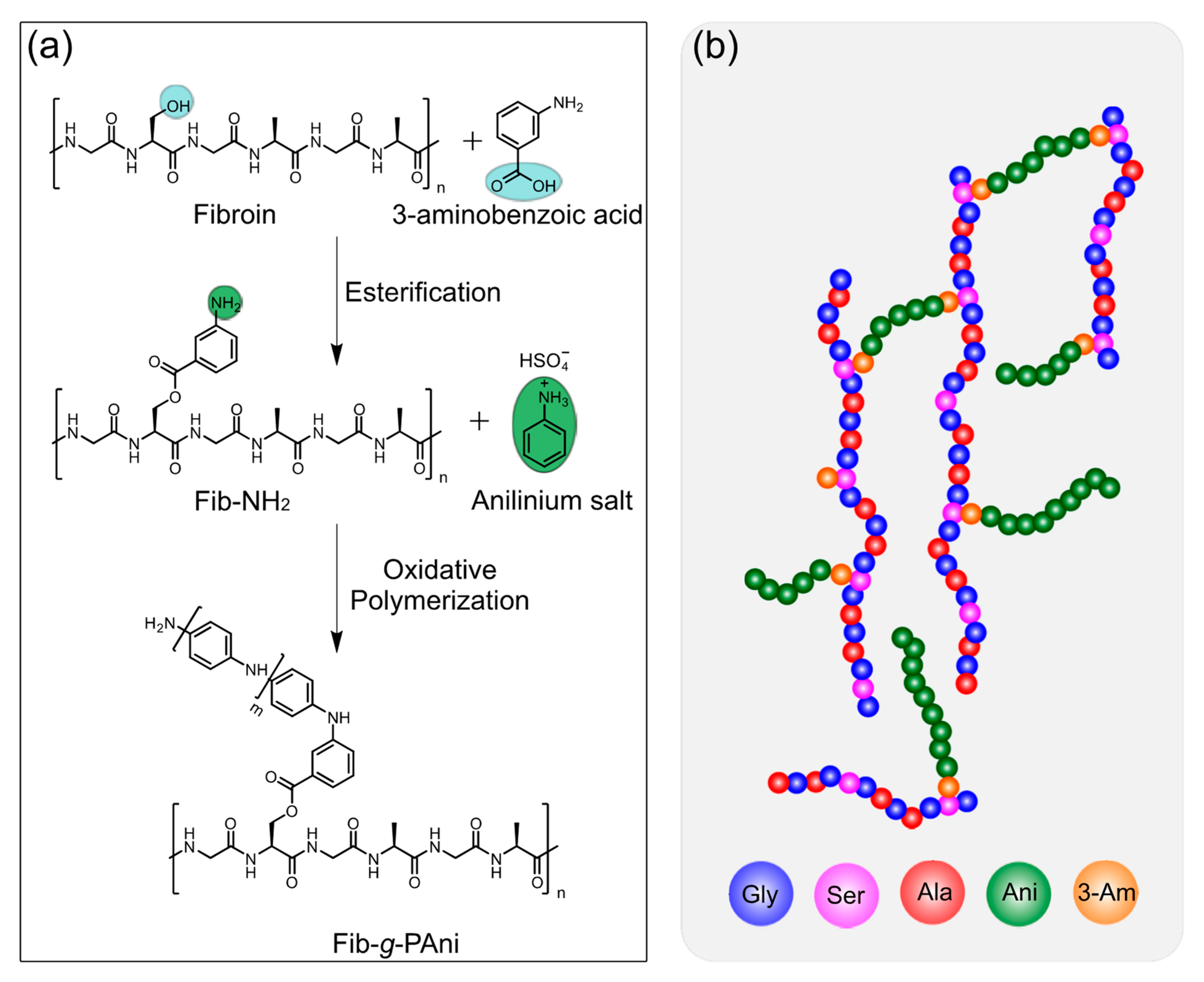 Polymers 14 04653 g001