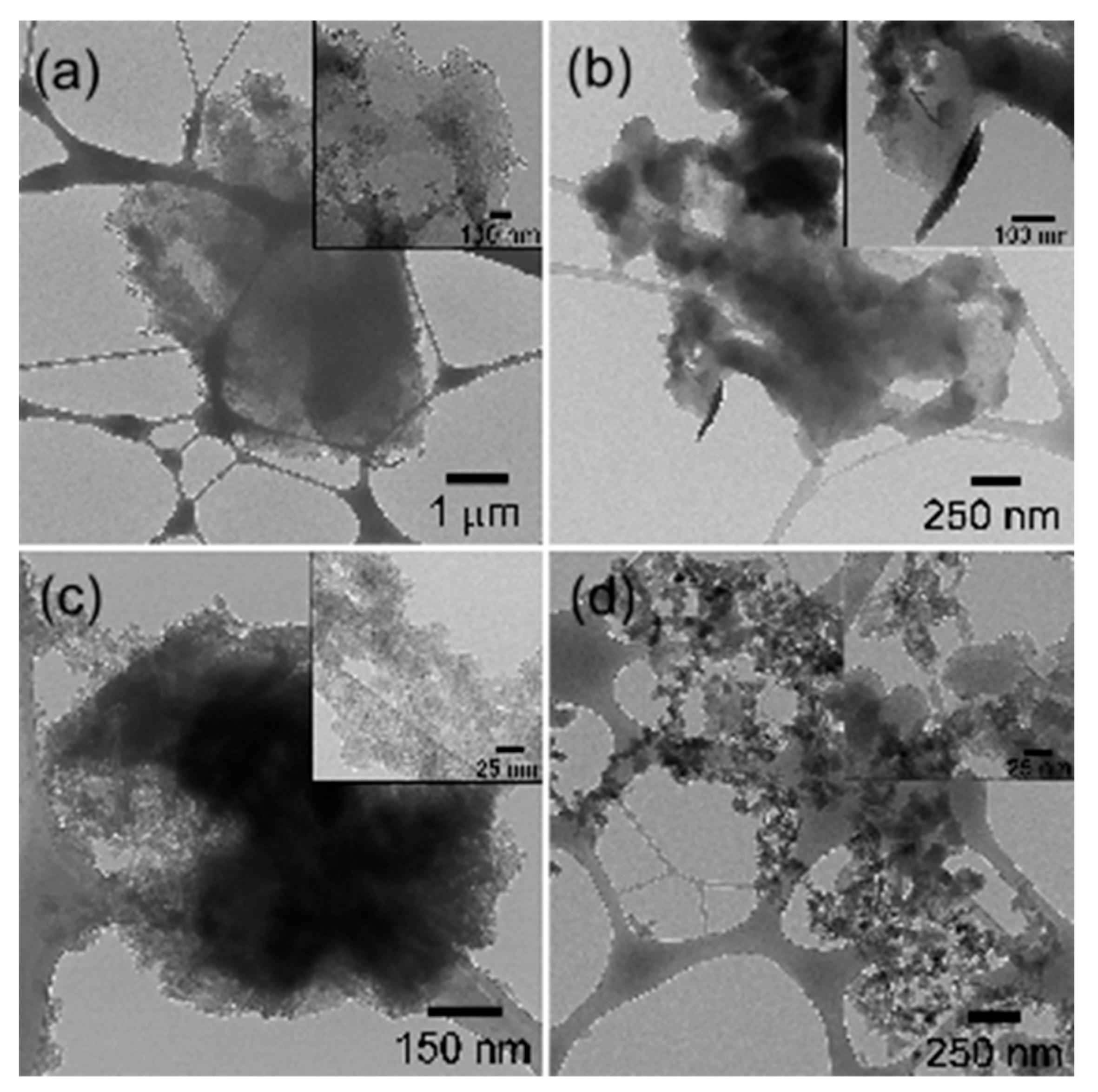 Polymers 14 04653 g006