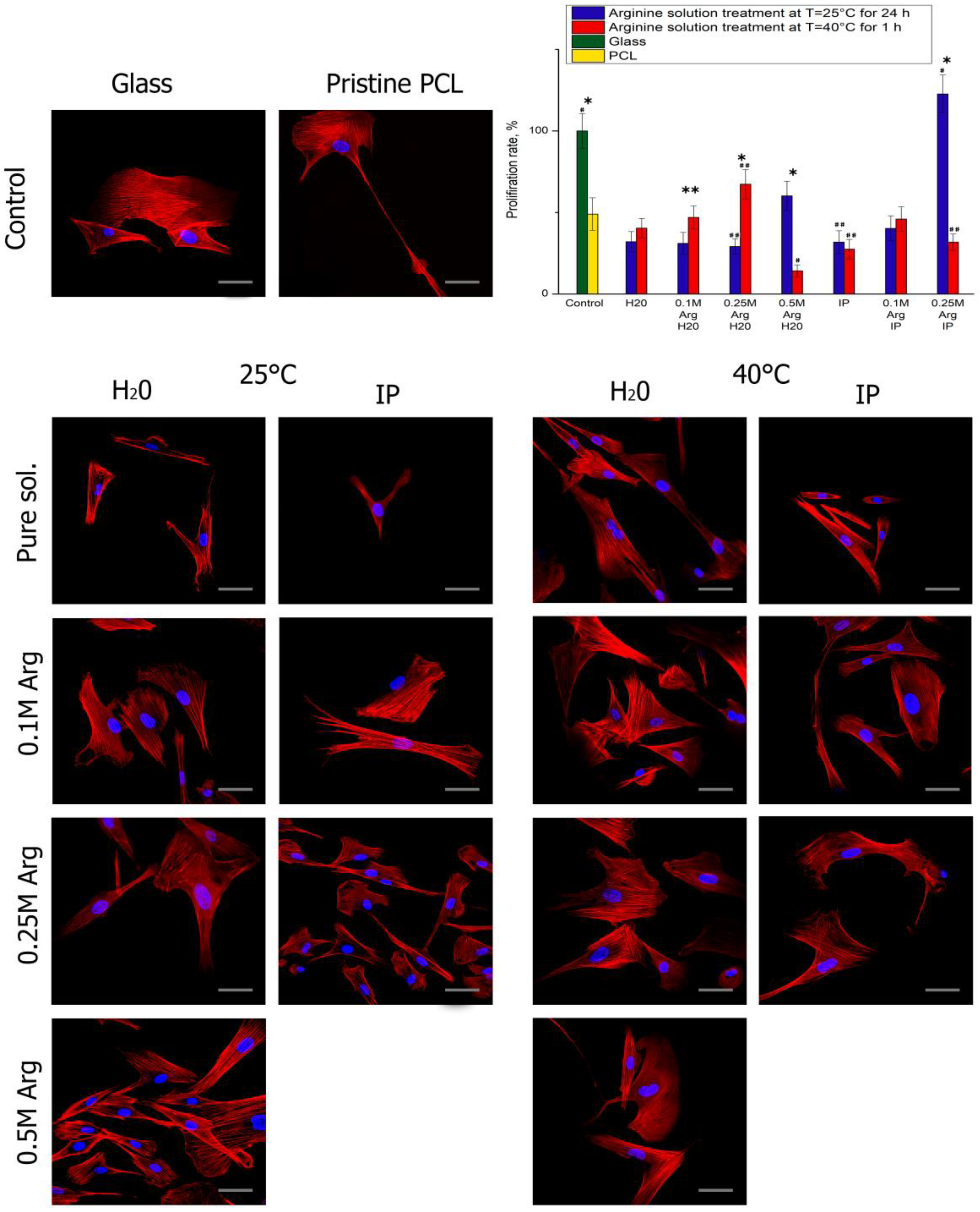 Polymers 14 04654 g004