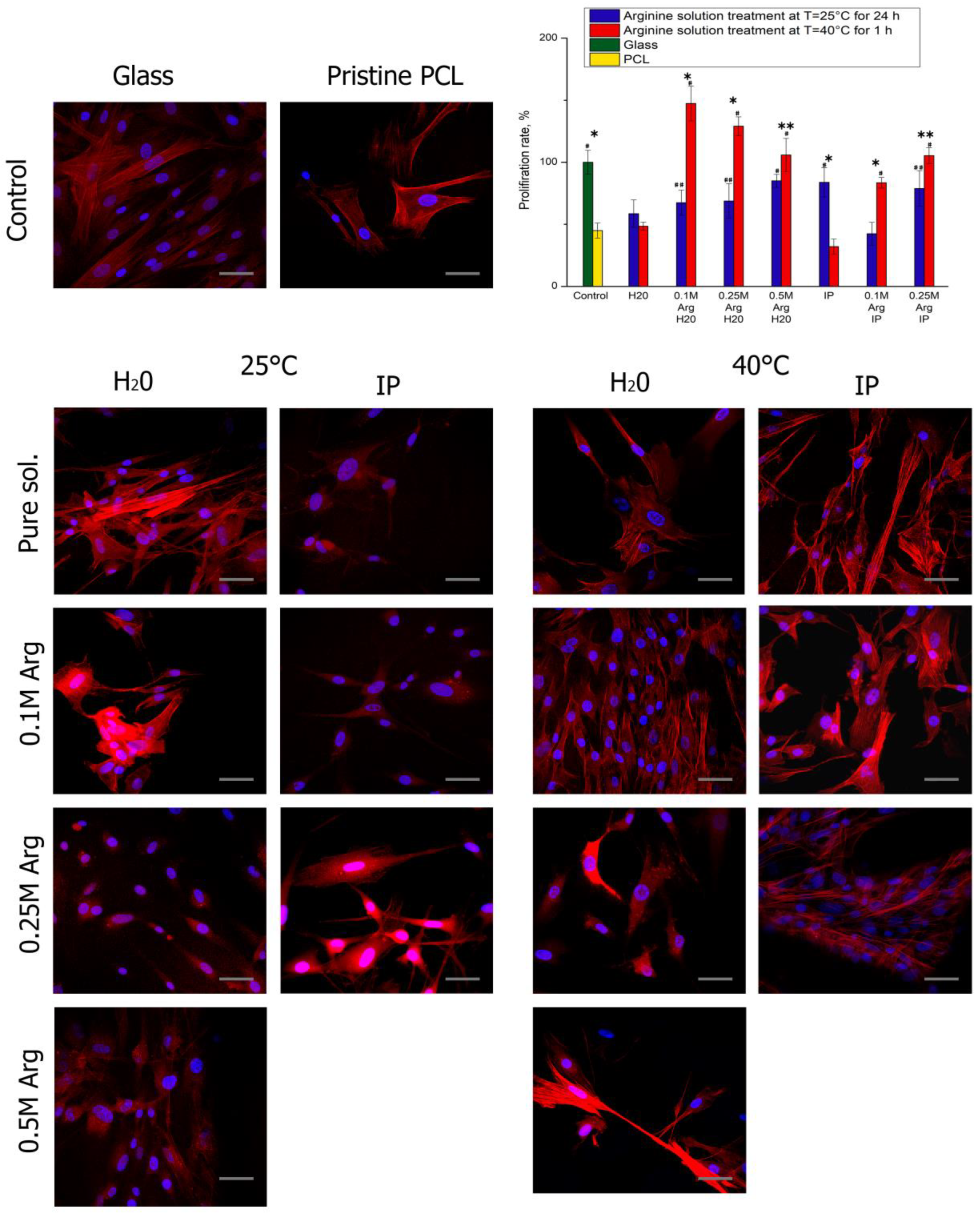 Polymers 14 04654 g005