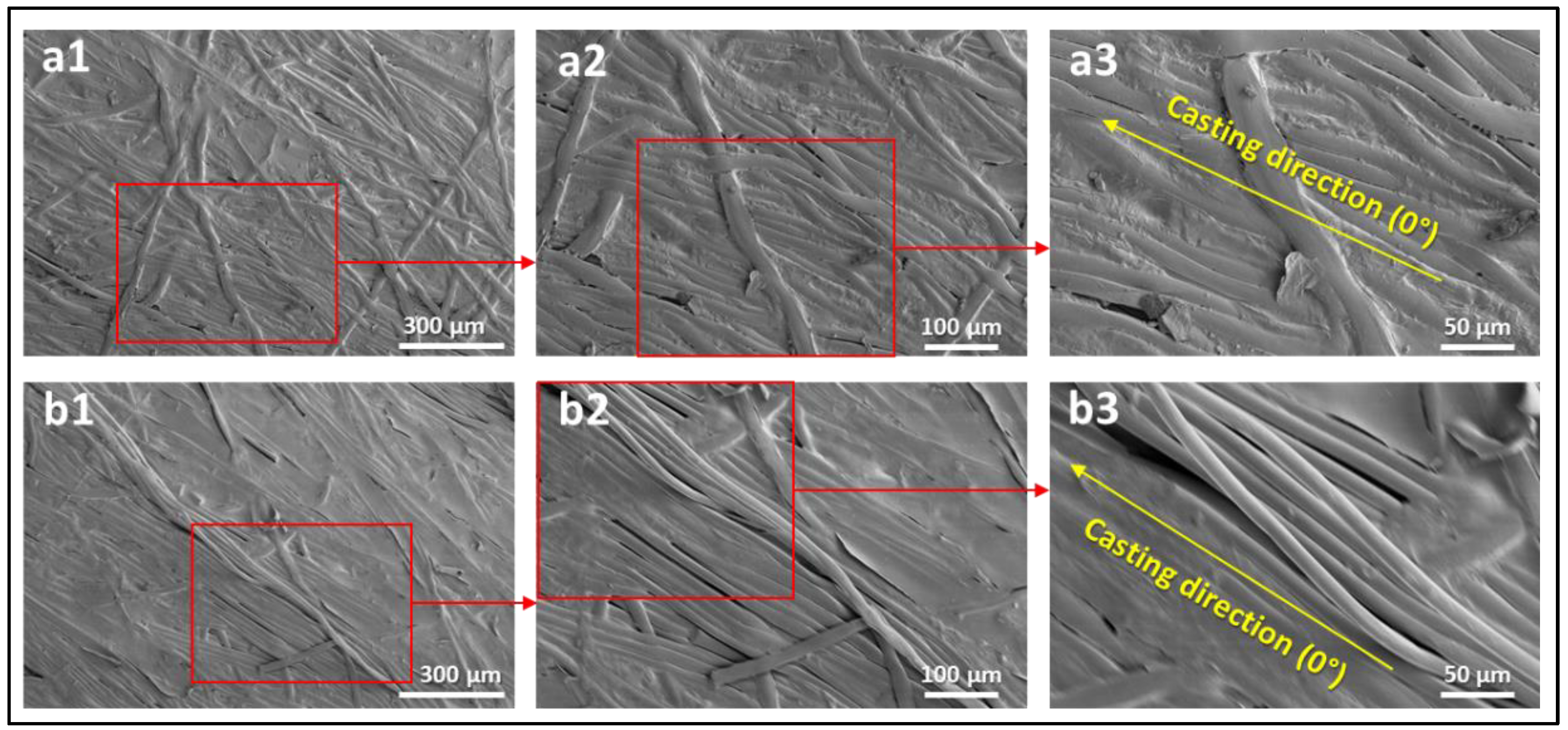 Polymers 14 04657 g006 Polymers 14 04657 g006