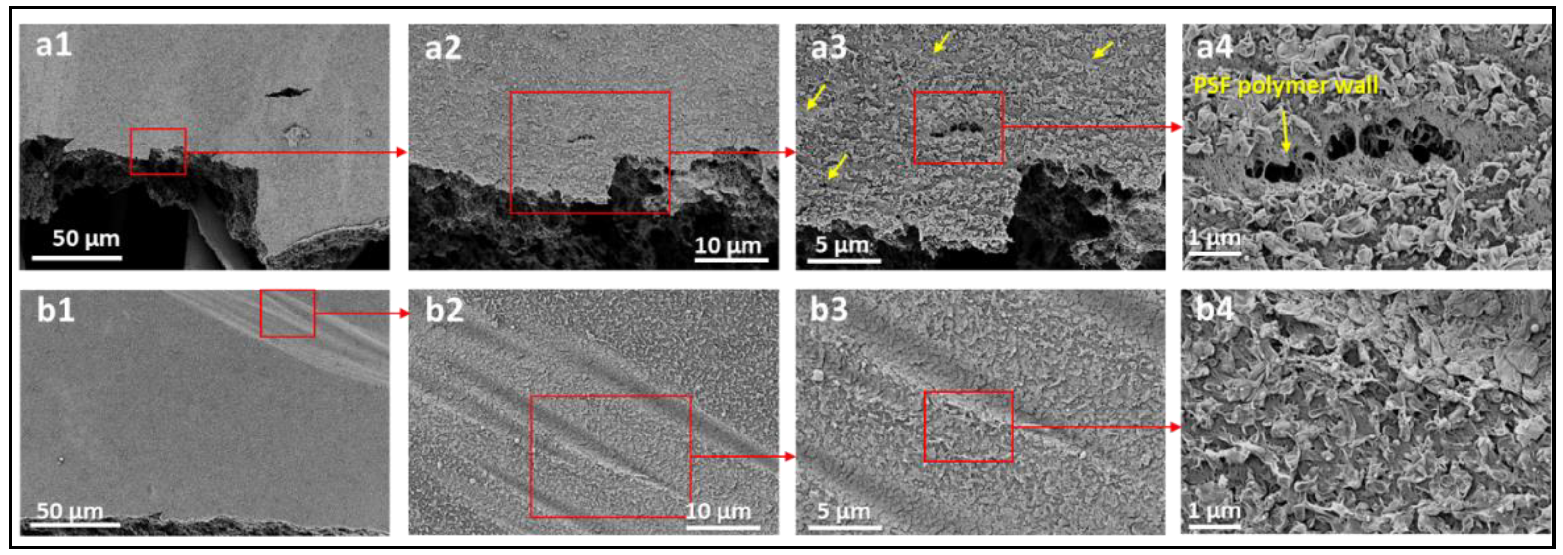 Polymers 14 04657 g009 Polymers 14 04657 g009