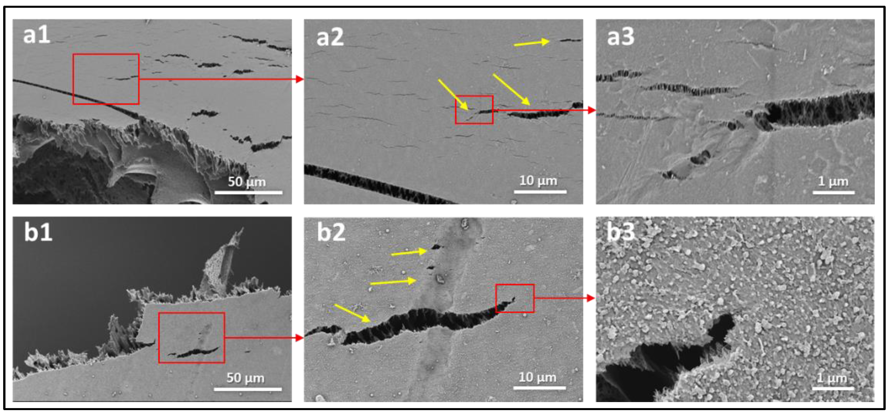 Polymers 14 04657 g010 Polymers 14 04657 g010