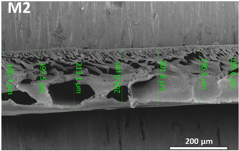 Polymers 14 04657 i002 Polymers 14 04657 i002