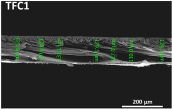 Polymers 14 04657 i003 Polymers 14 04657 i003