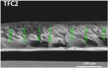 Polymers 14 04657 i004 Polymers 14 04657 i004