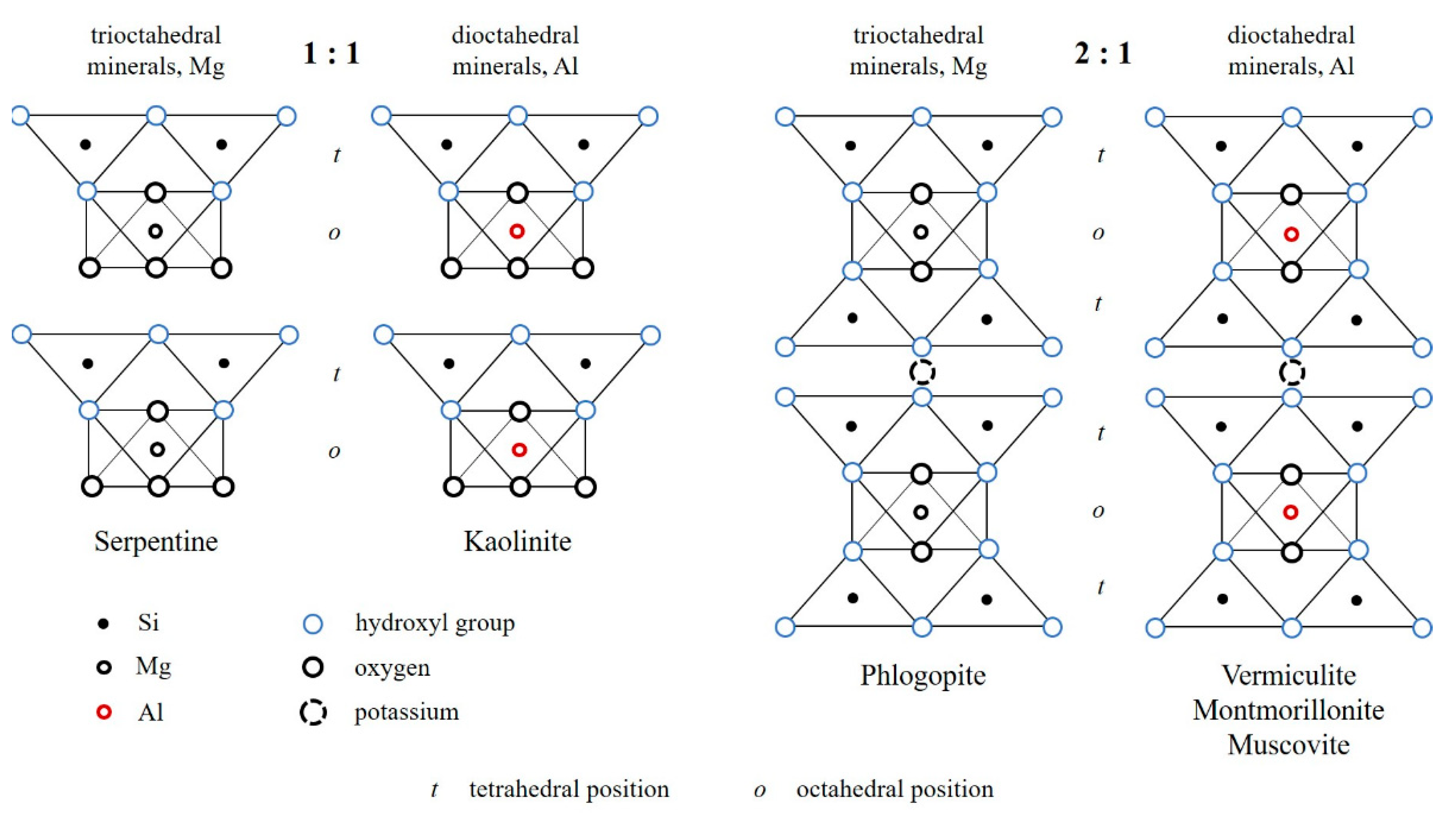 Polymers 14 04658 g001
