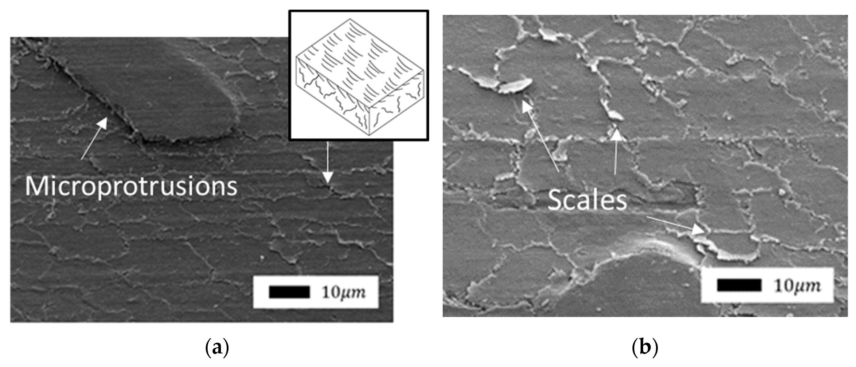 Polymers 14 04658 g007