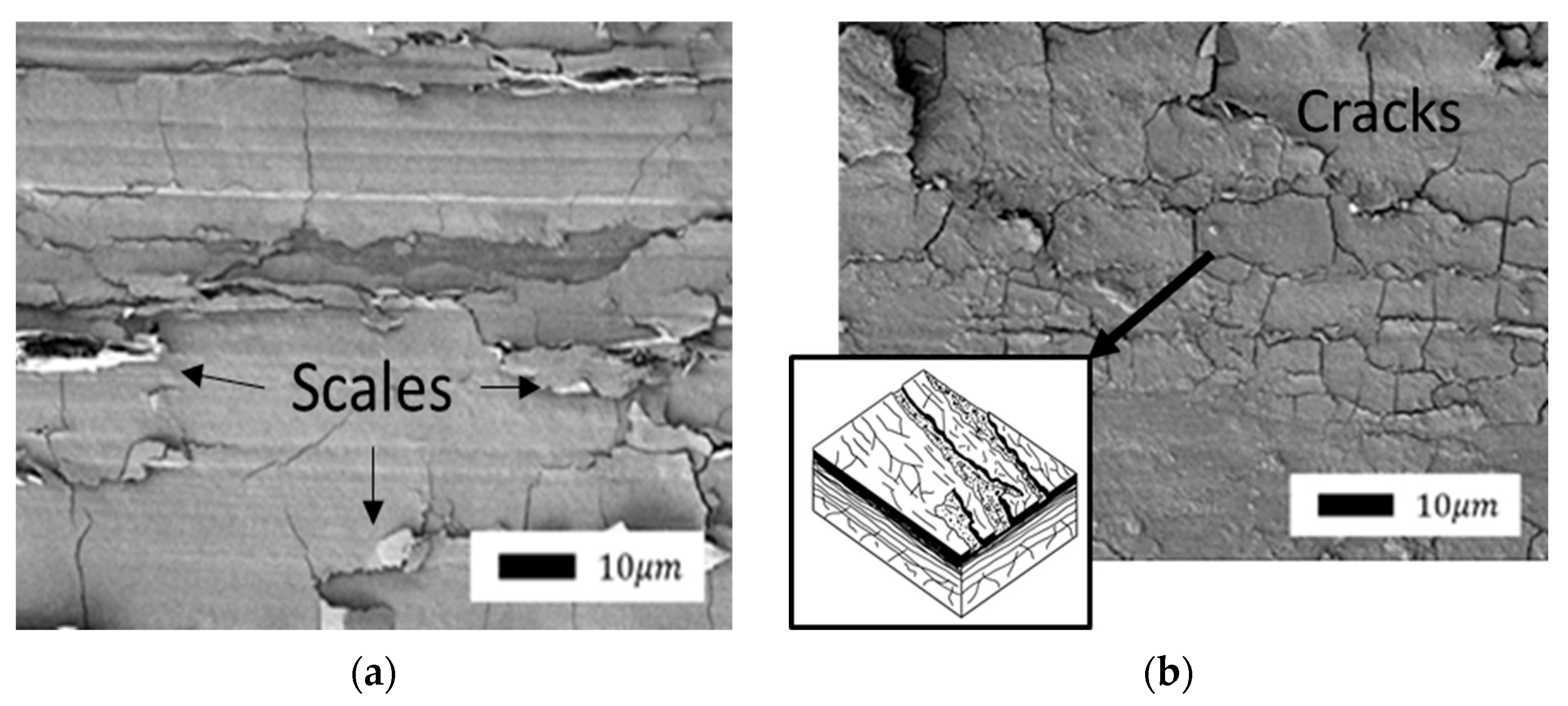 Polymers 14 04658 g011