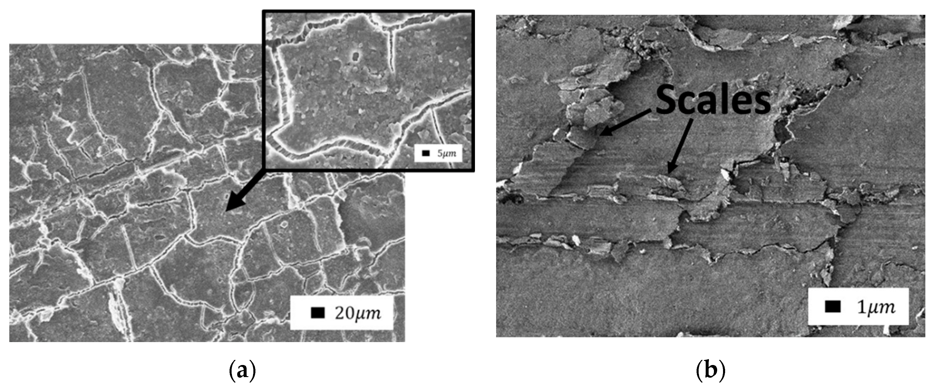 Polymers 14 04658 g013