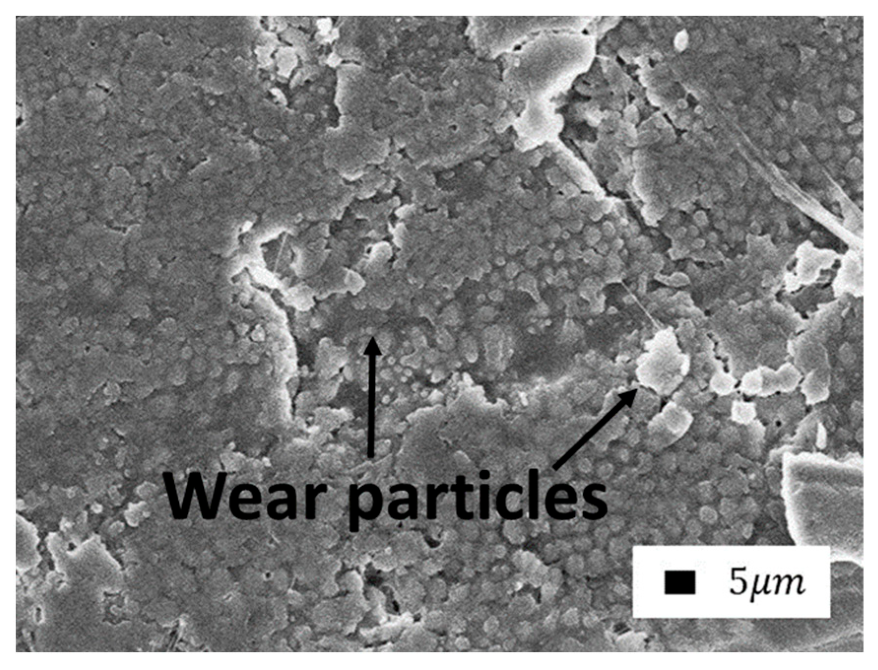 Polymers 14 04658 g014