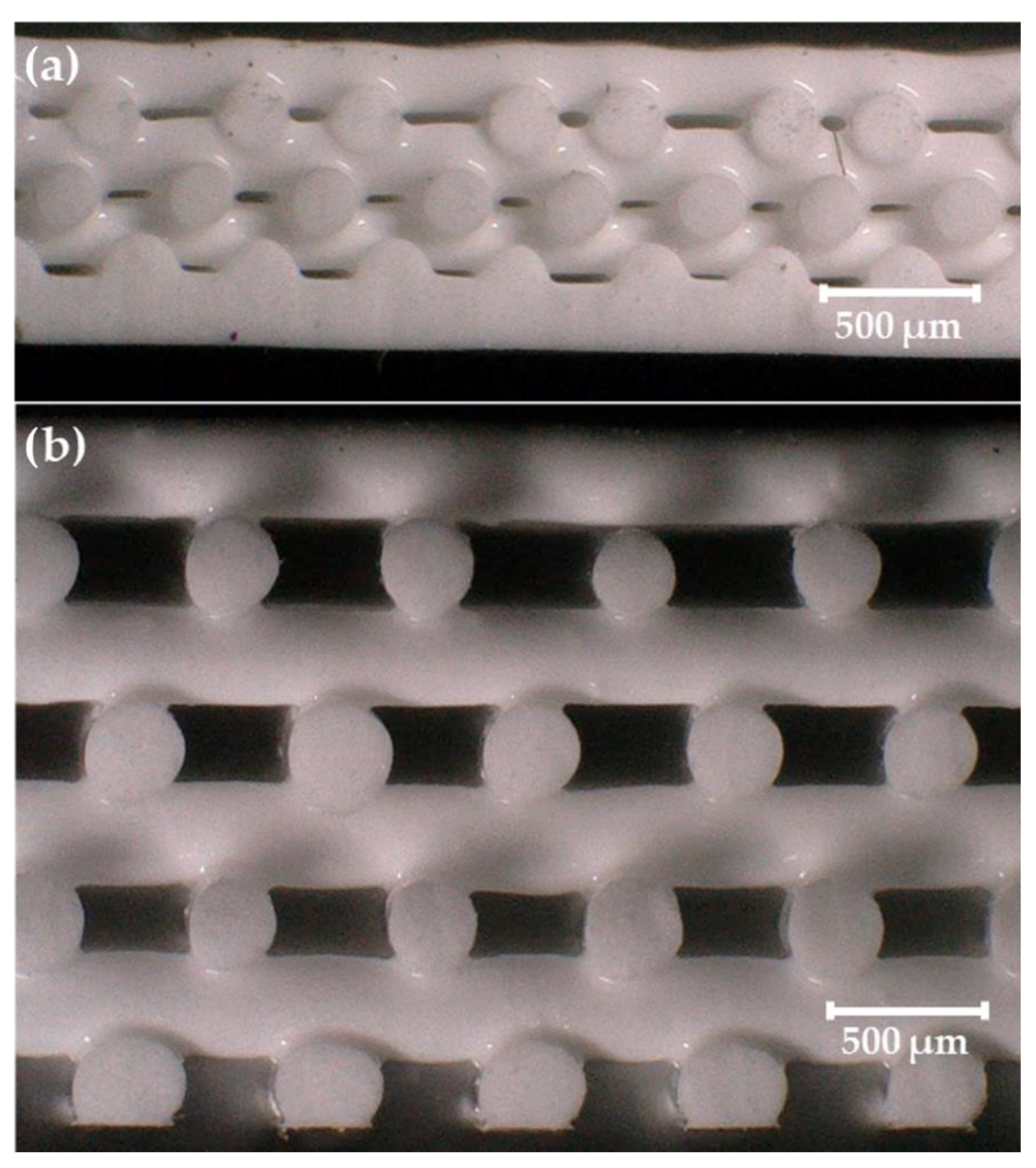 Polymers 14 04661 g006