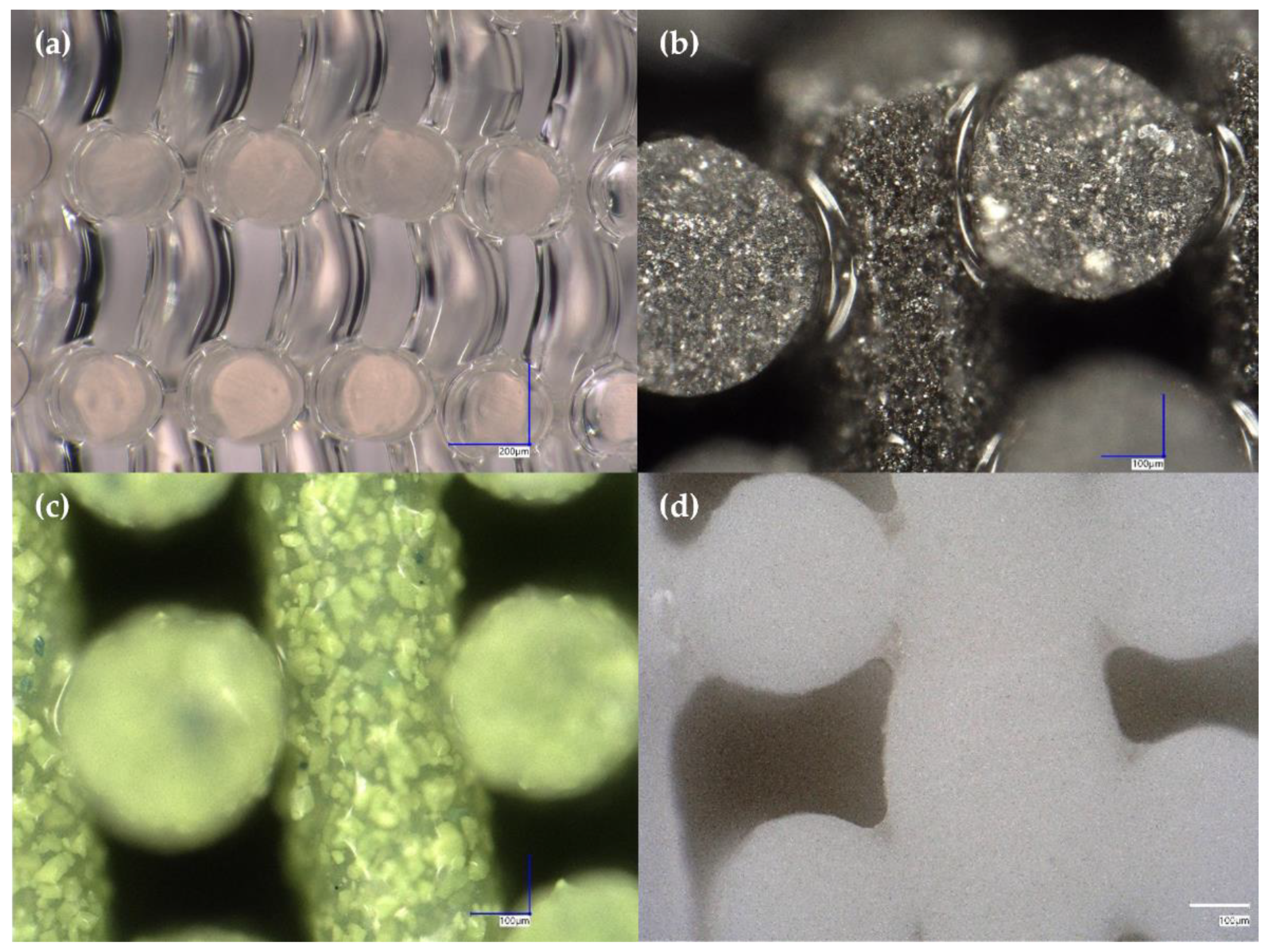 Polymers 14 04661 g011