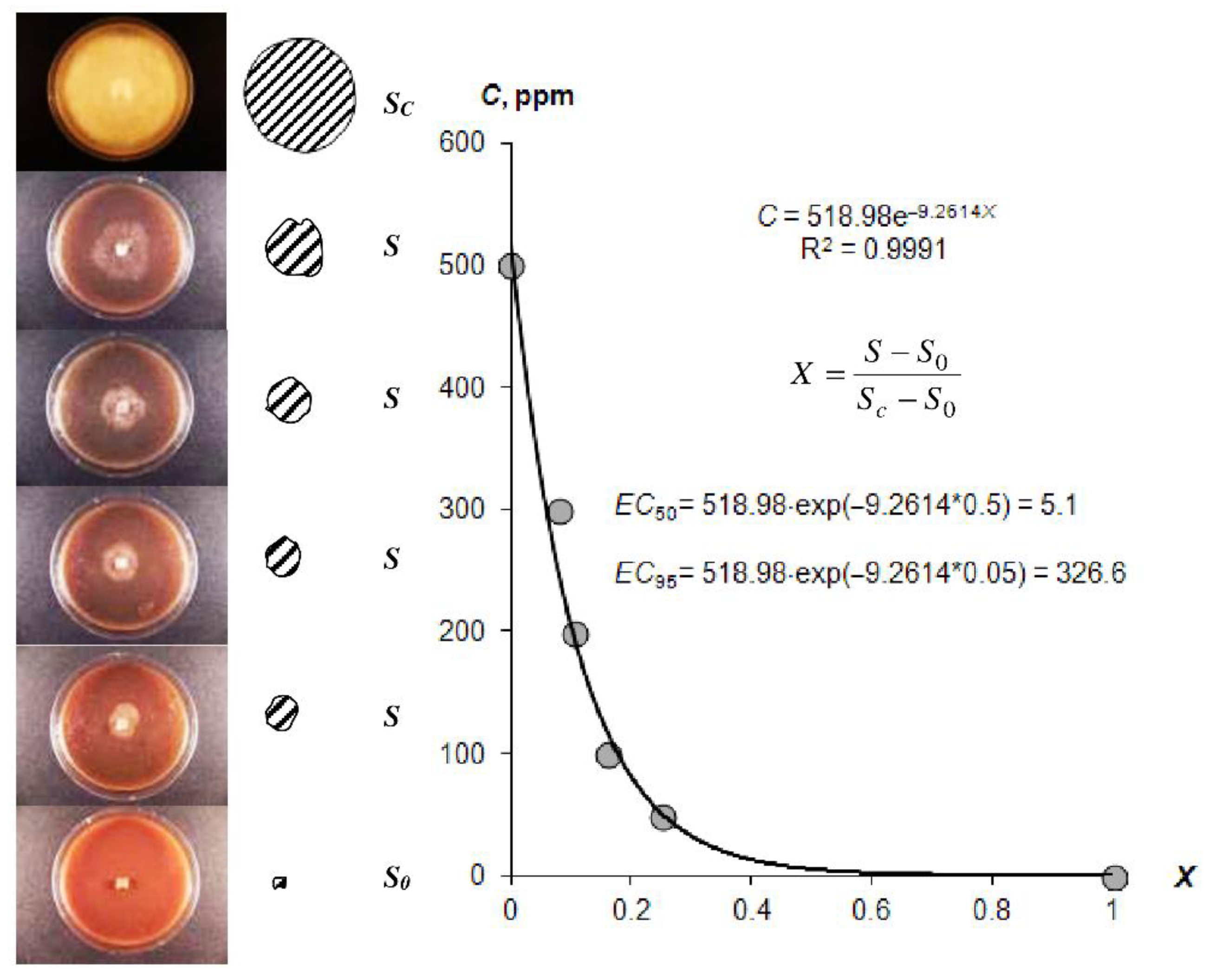 Polymers 14 04665 g006