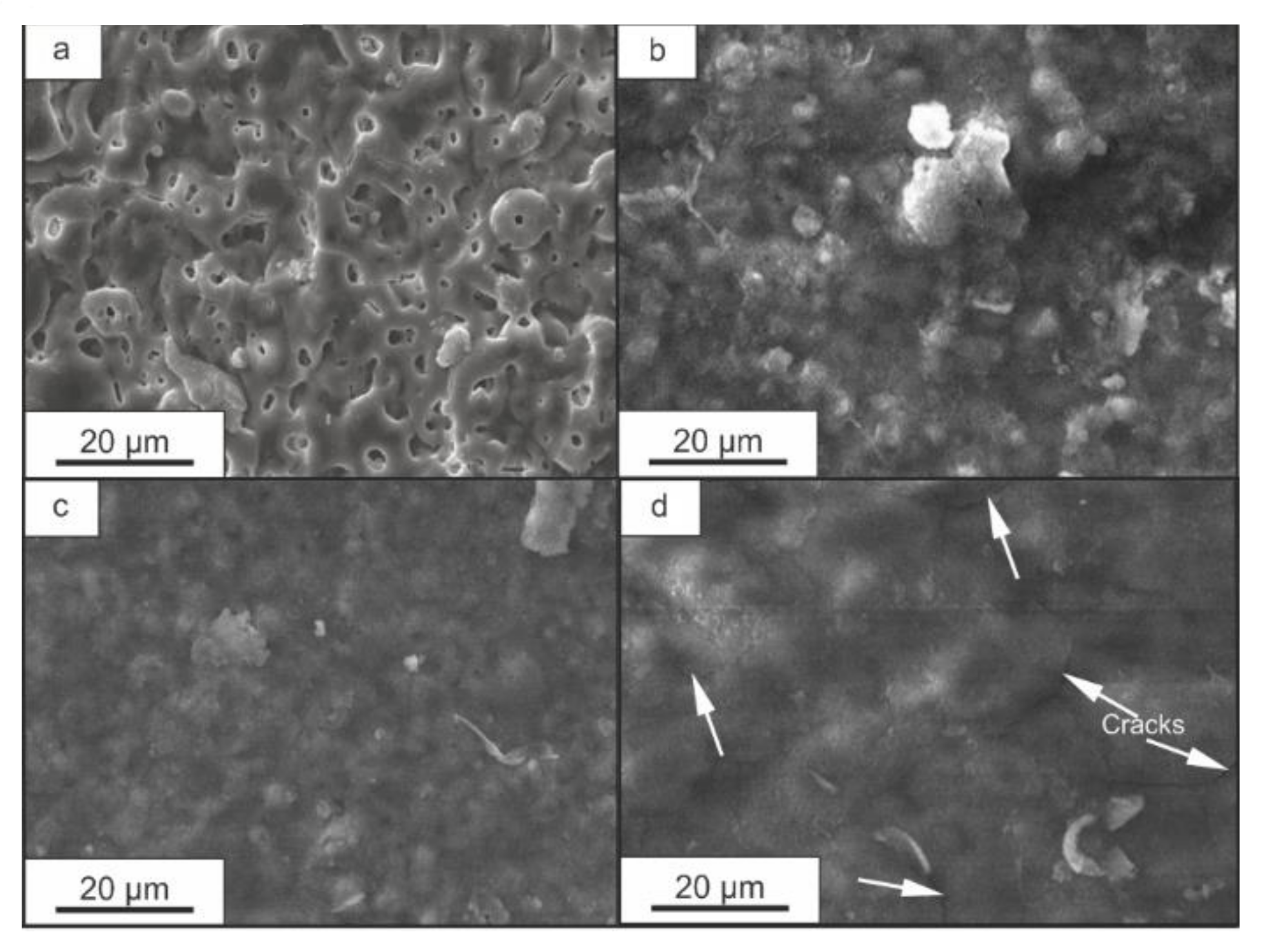 Polymers 14 04667 g001