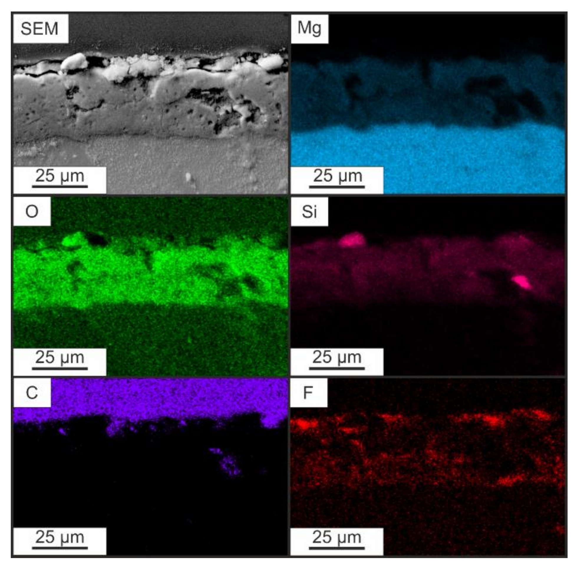 Polymers 14 04667 g003