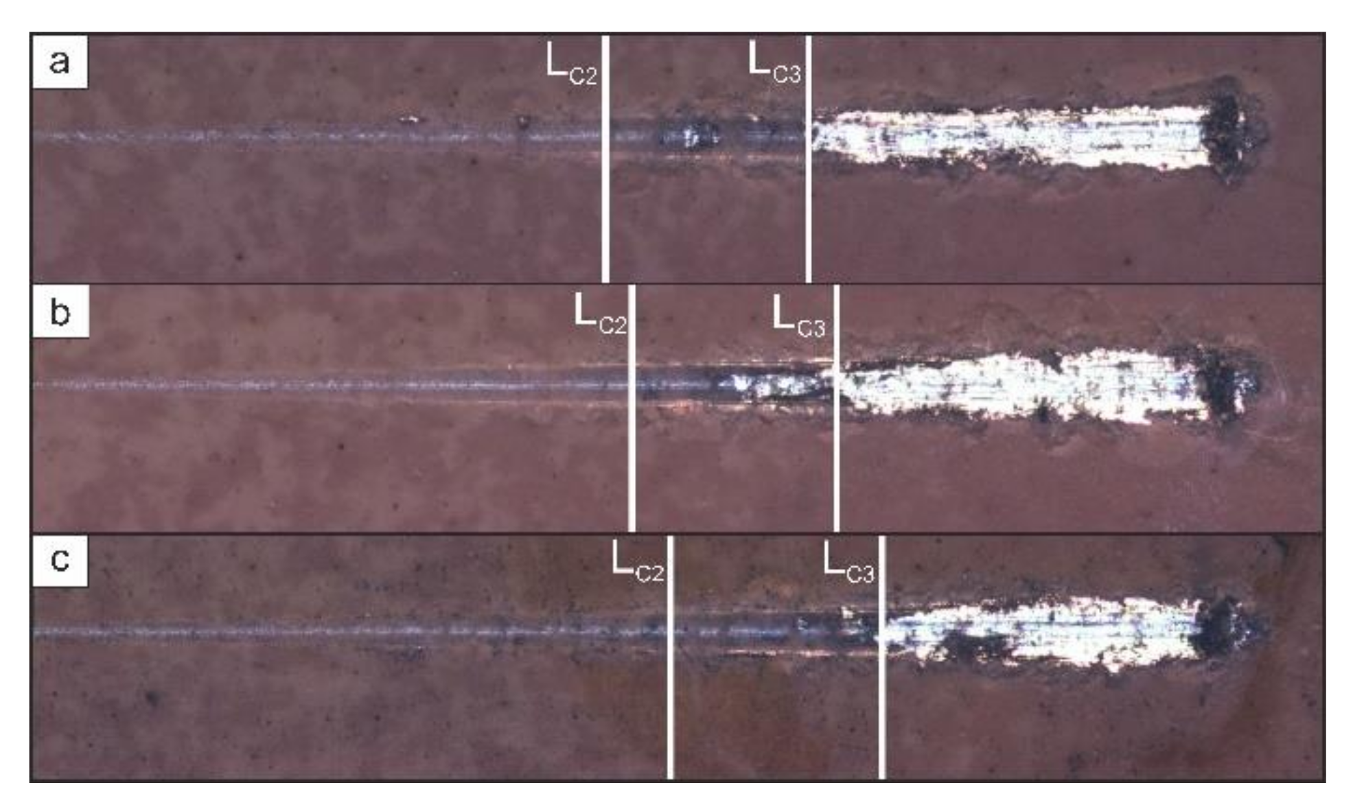 Polymers 14 04667 g010
