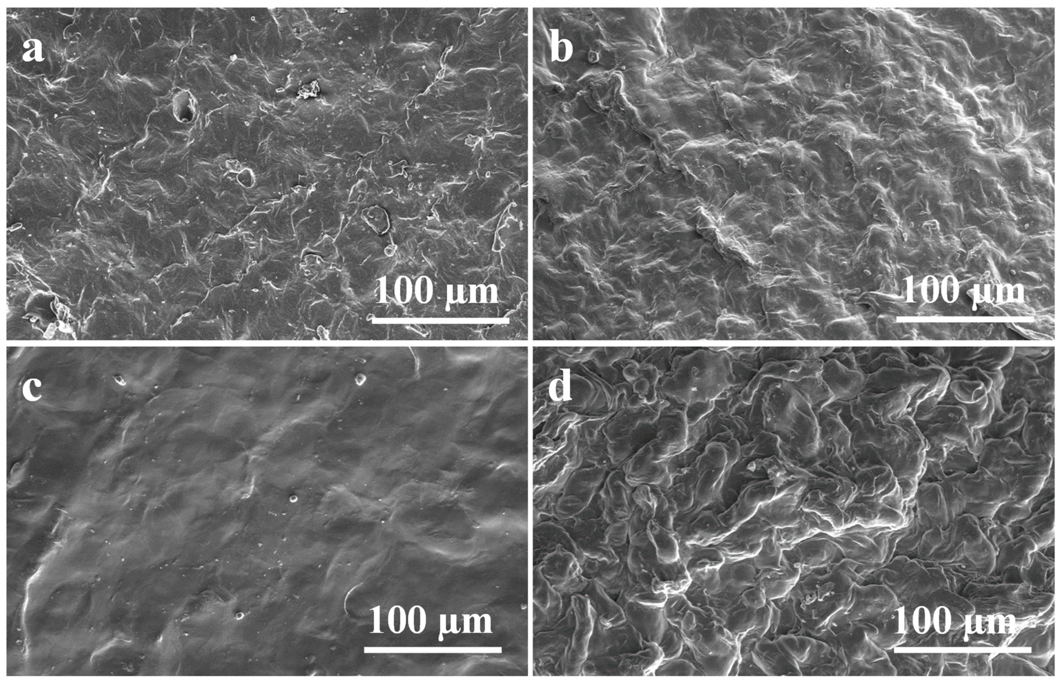 Polymers 14 04669 g005