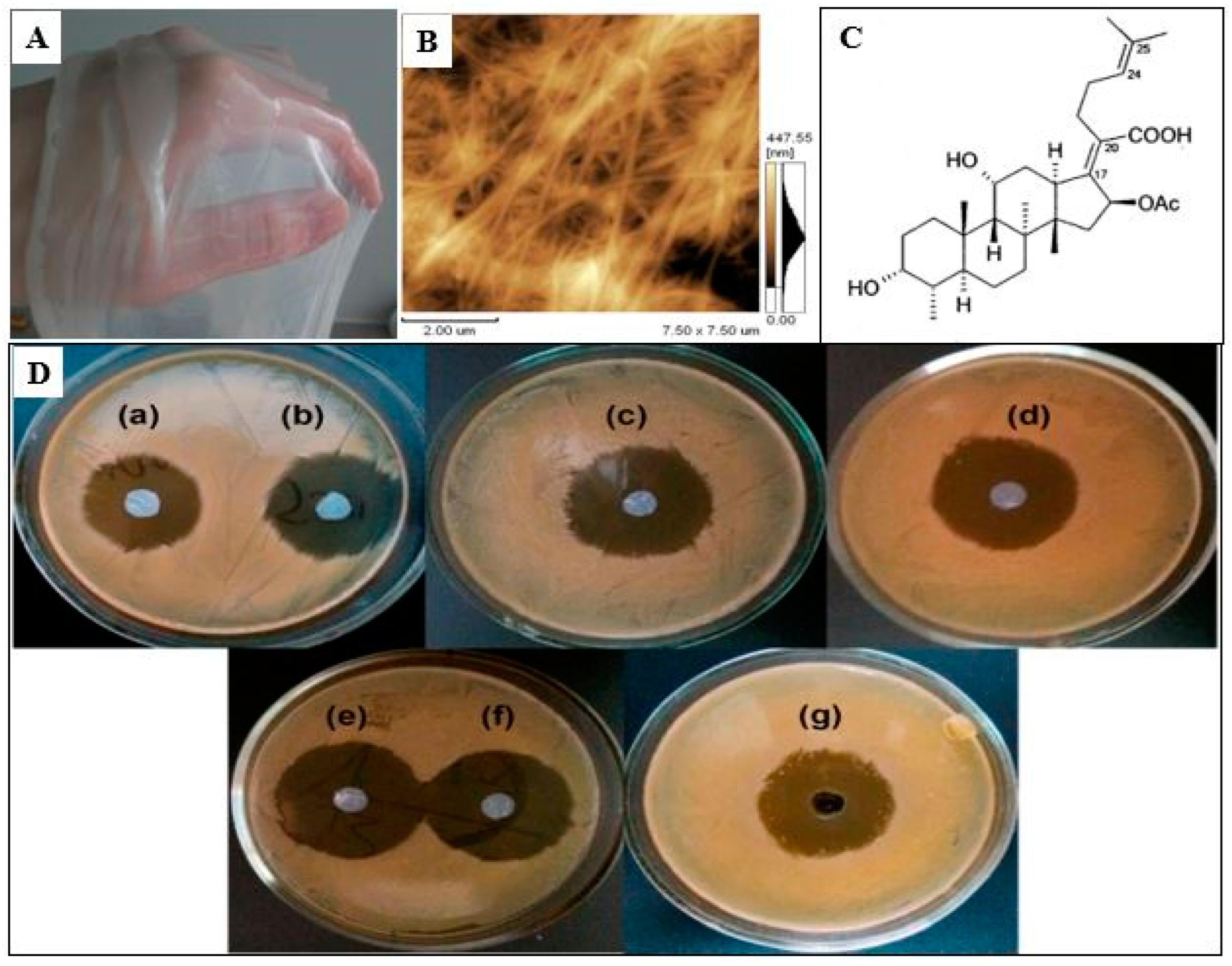 Polymers 14 04670 g008 Polymers 14 04670 g008
