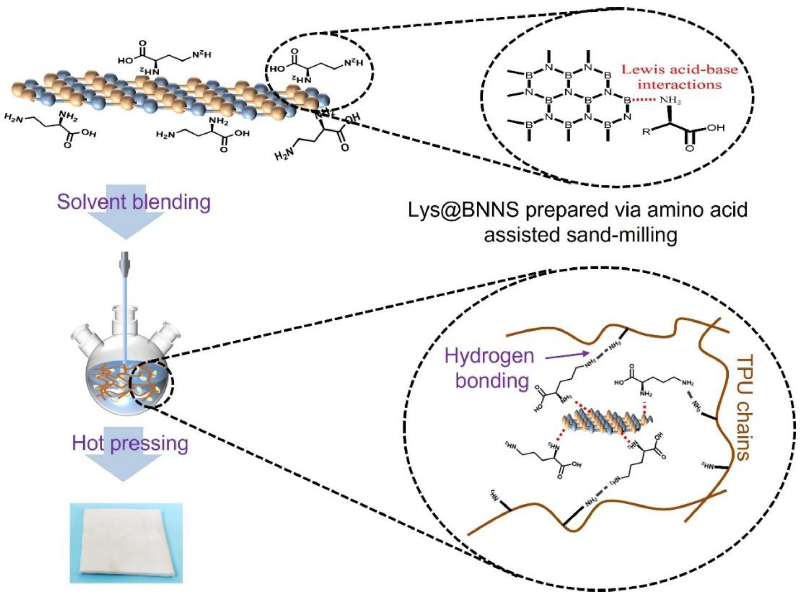 Polymers 14 04674 g001