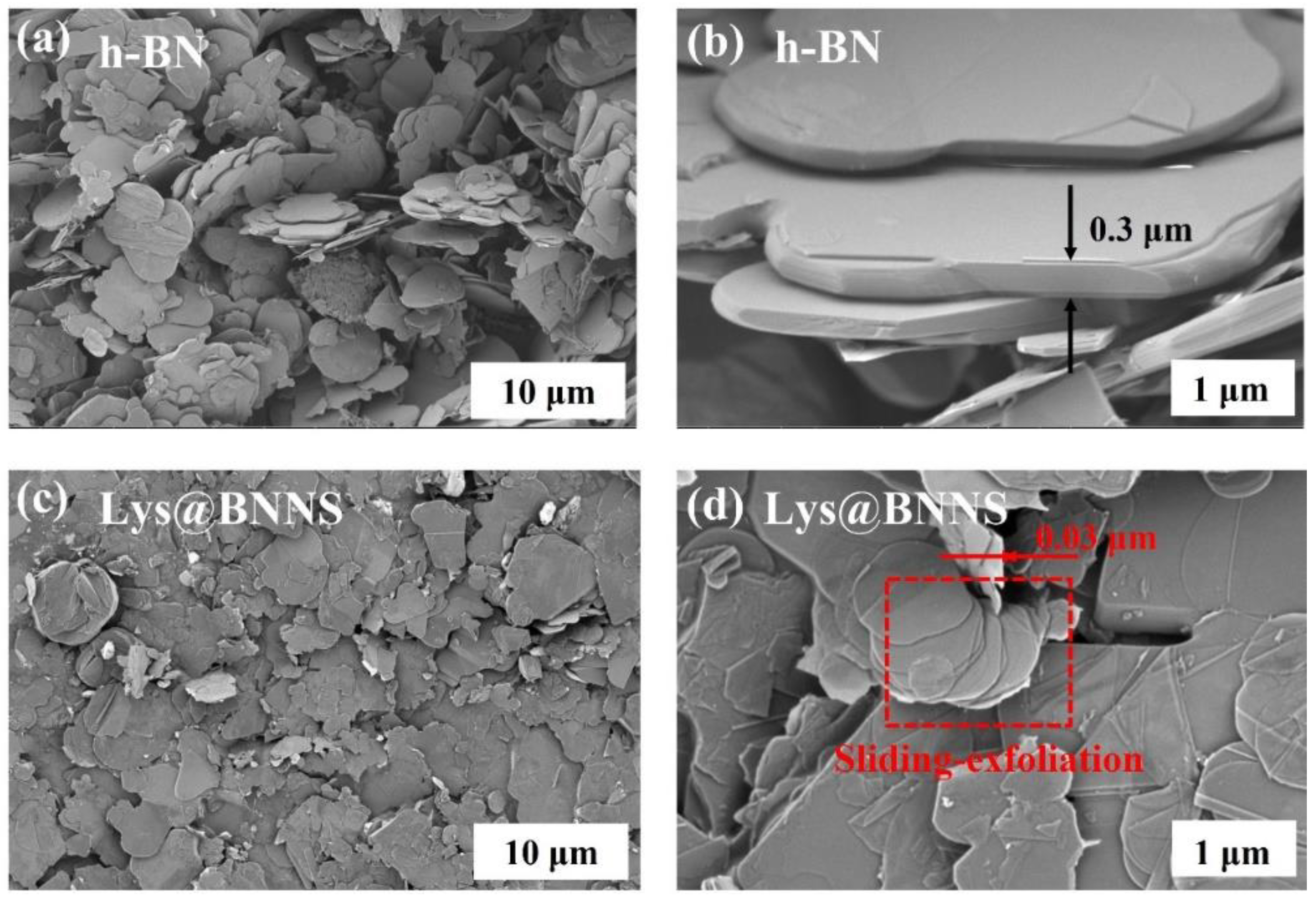 Polymers 14 04674 g003