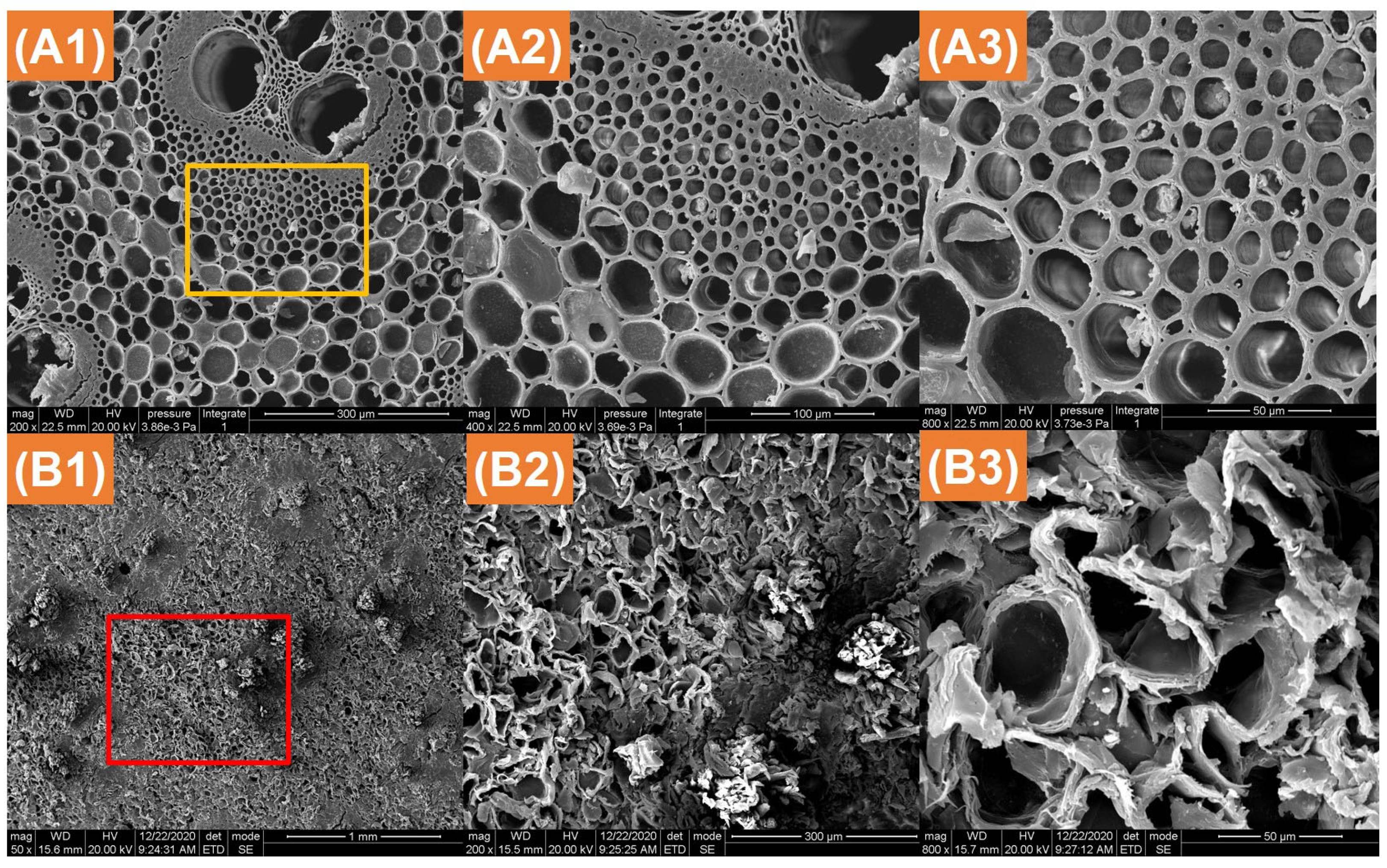 Polymers 14 04677 g001