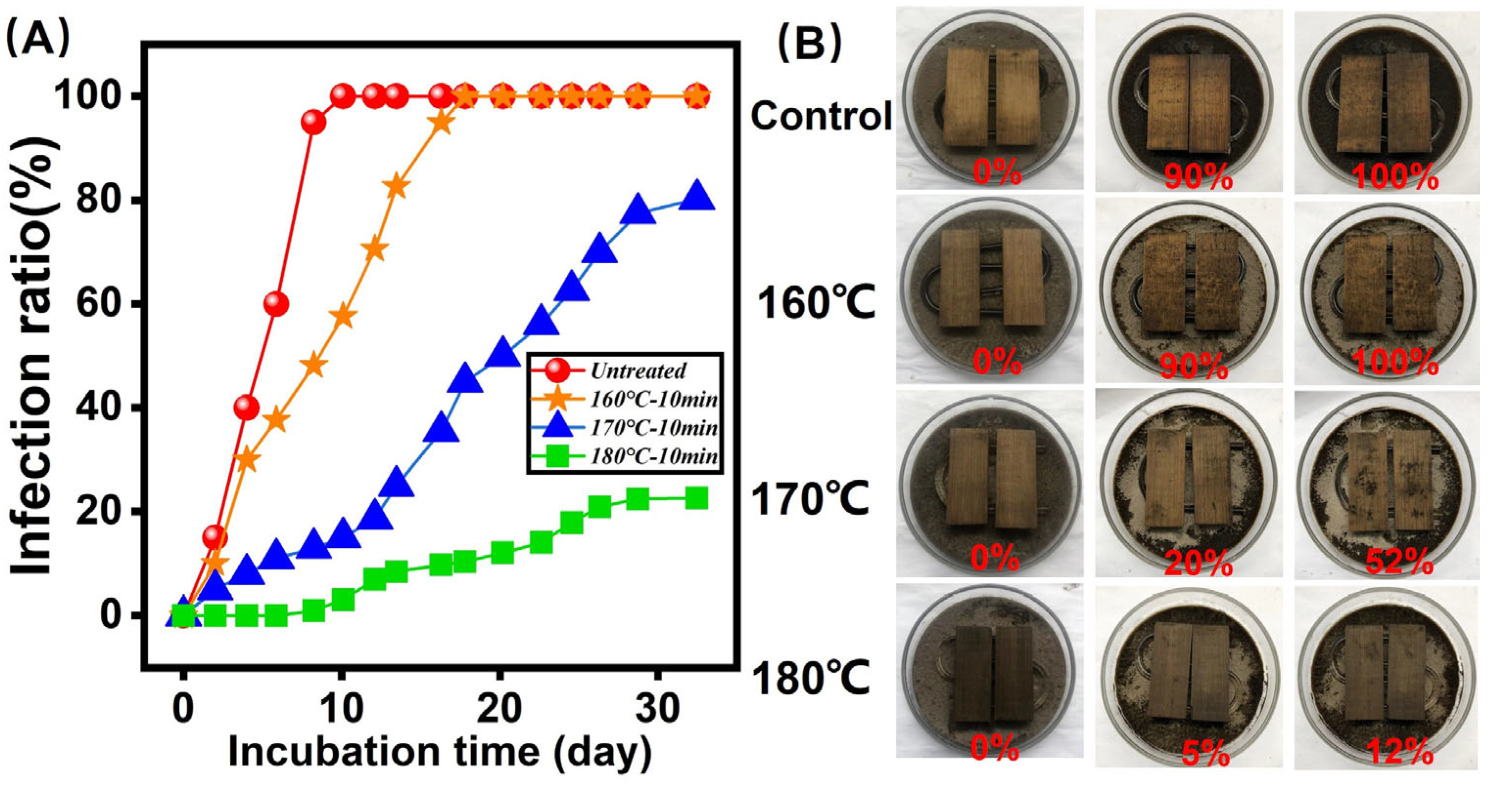 Polymers 14 04677 g007