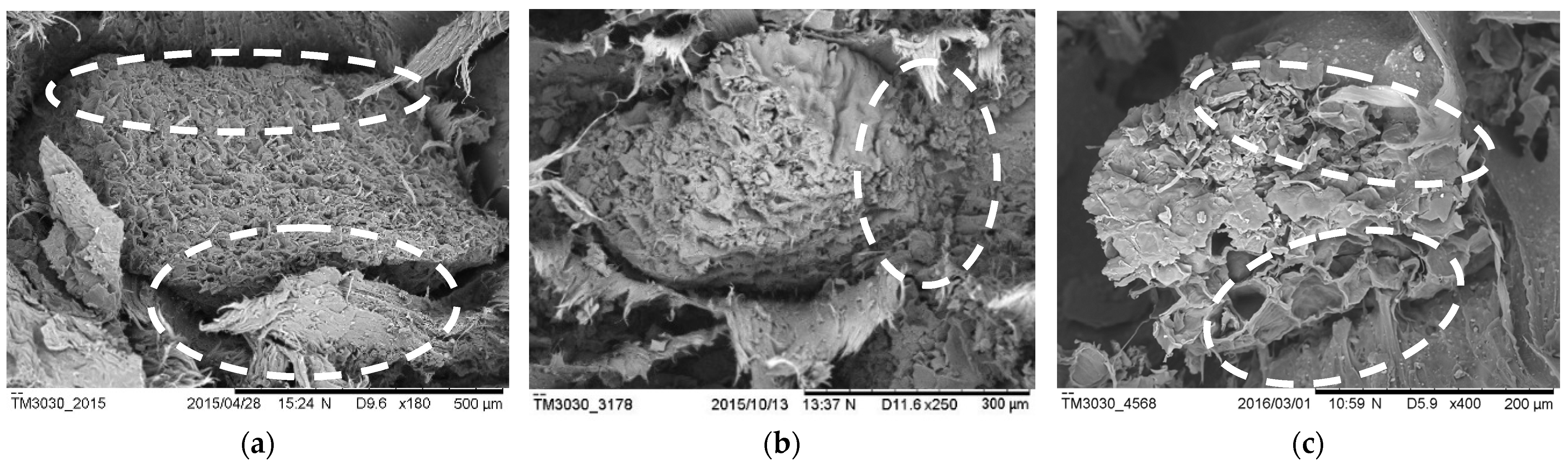 Polymers 14 04678 g011