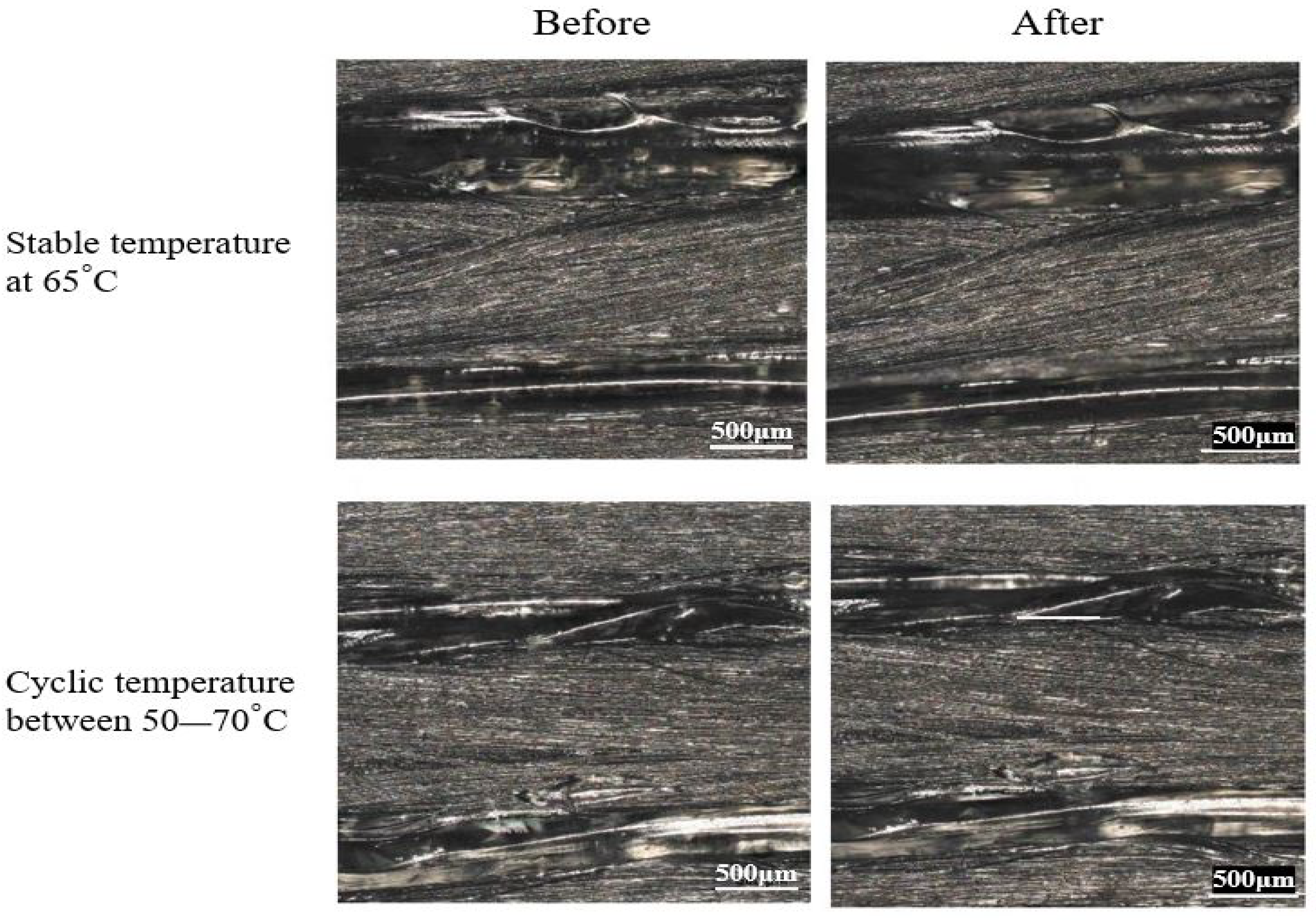 Polymers 14 04680 g009