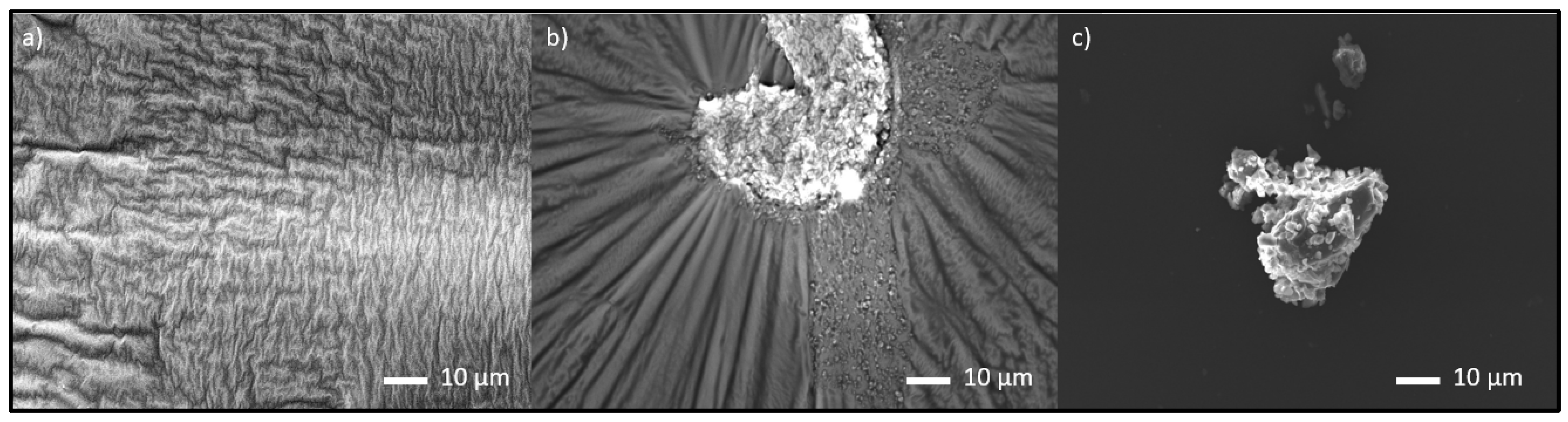Polymers 14 04684 g004