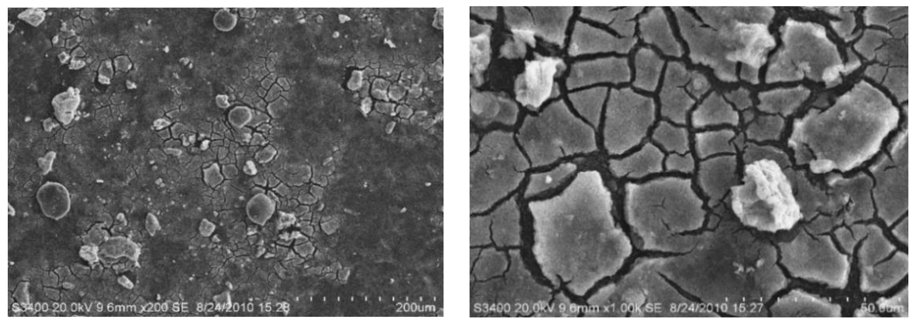 Polymers 14 04689 g008