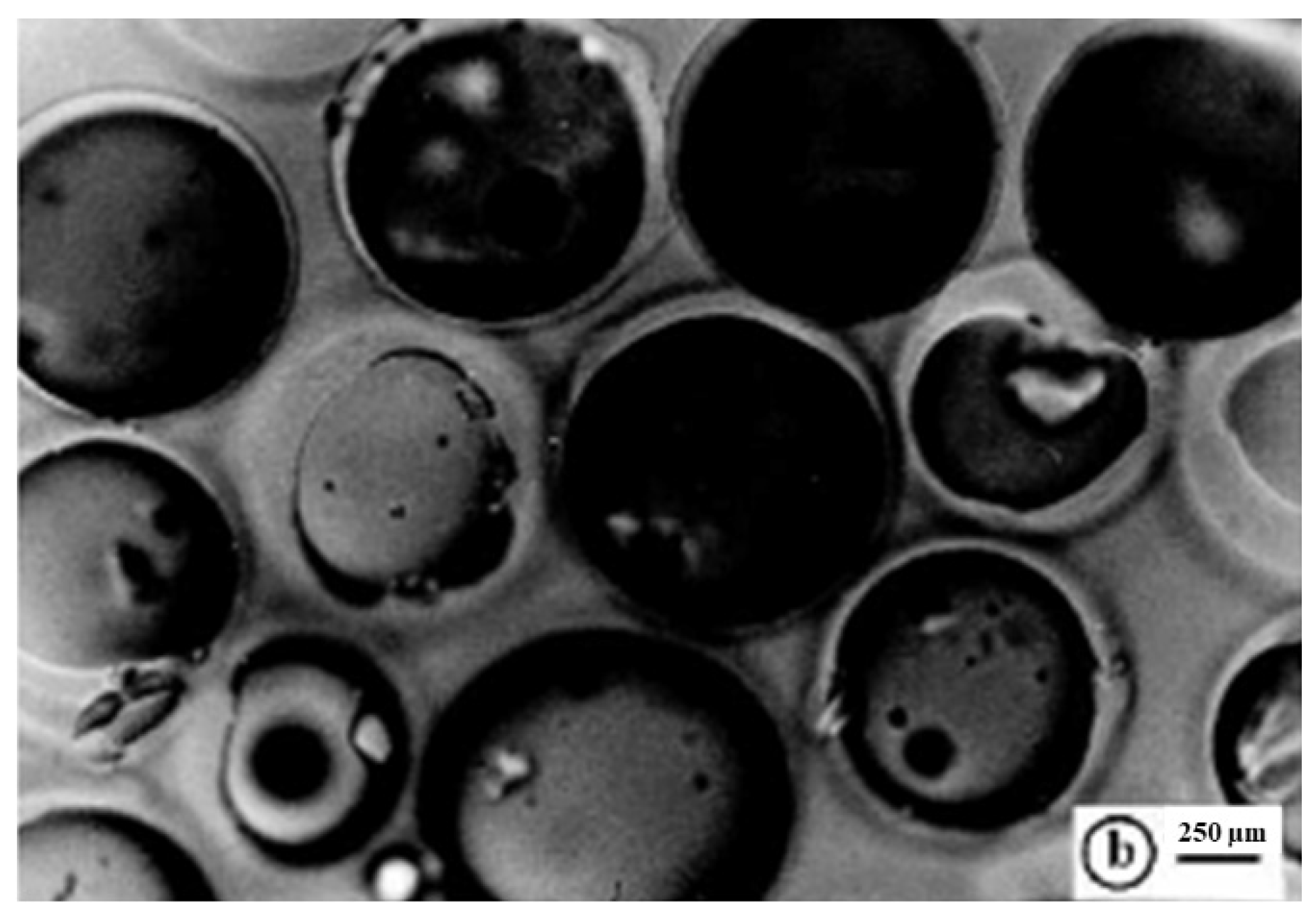 Polymers 14 04690 g005