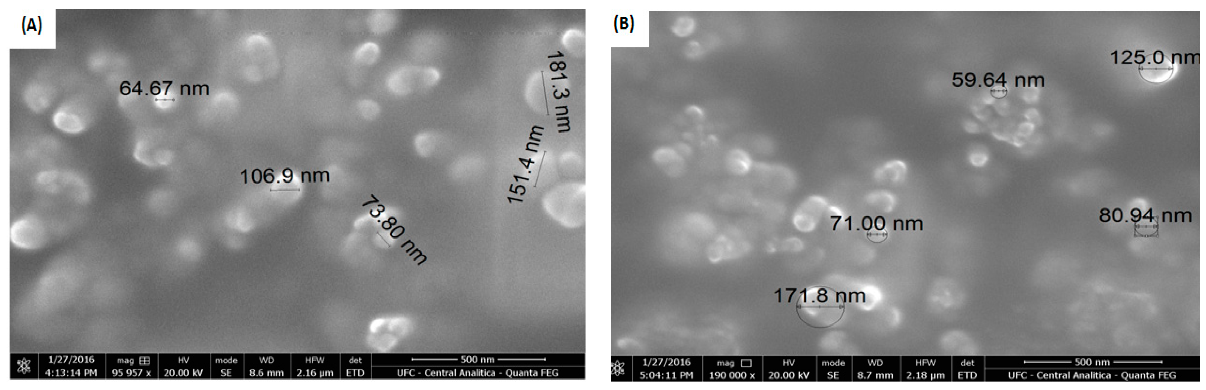 Polymers 14 04695 g004 Polymers 14 04695 g004