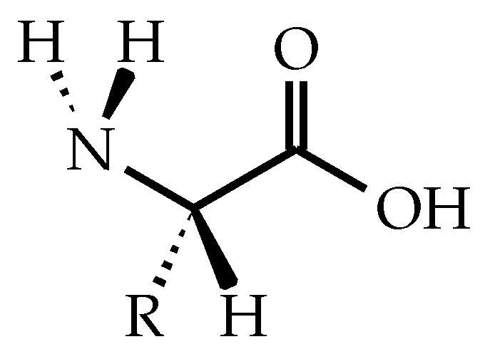 Polymers 14 04696 g001