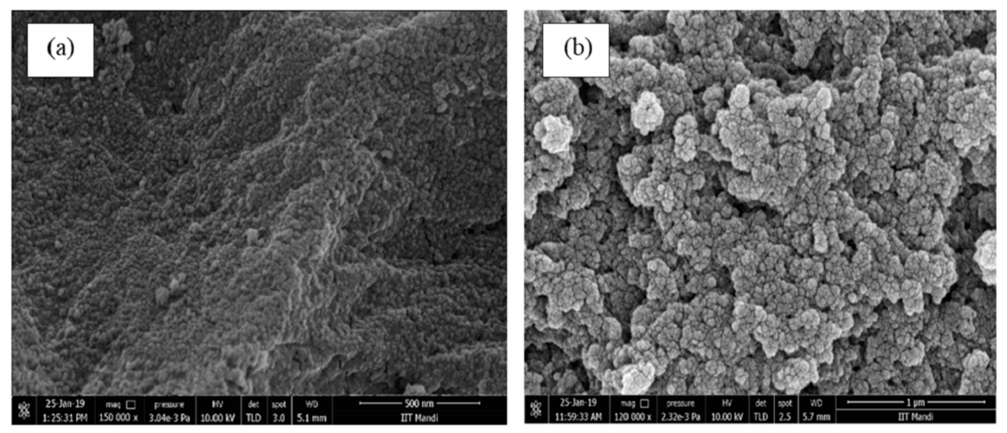 Polymers 14 04697 g002