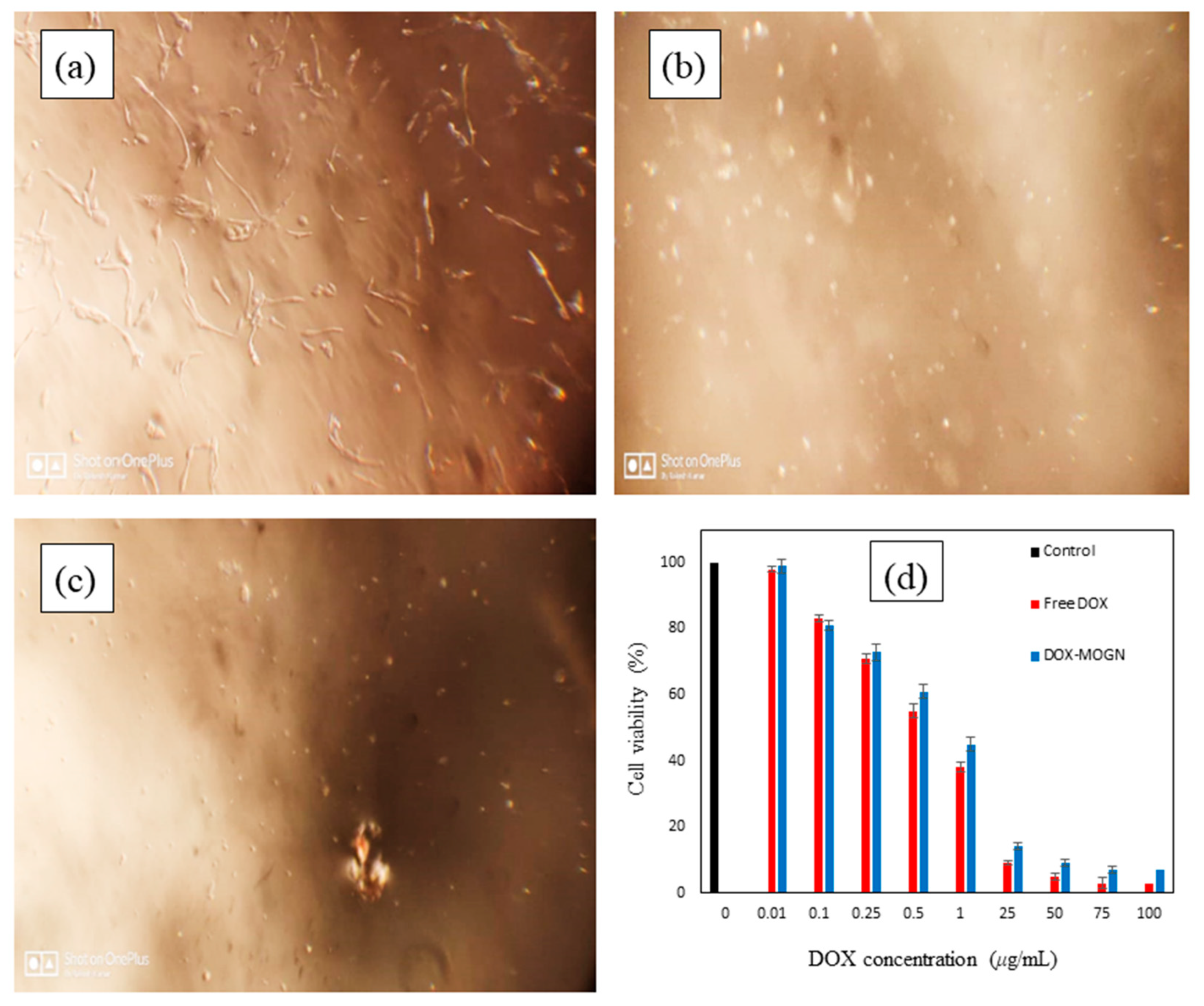 Polymers 14 04697 g009