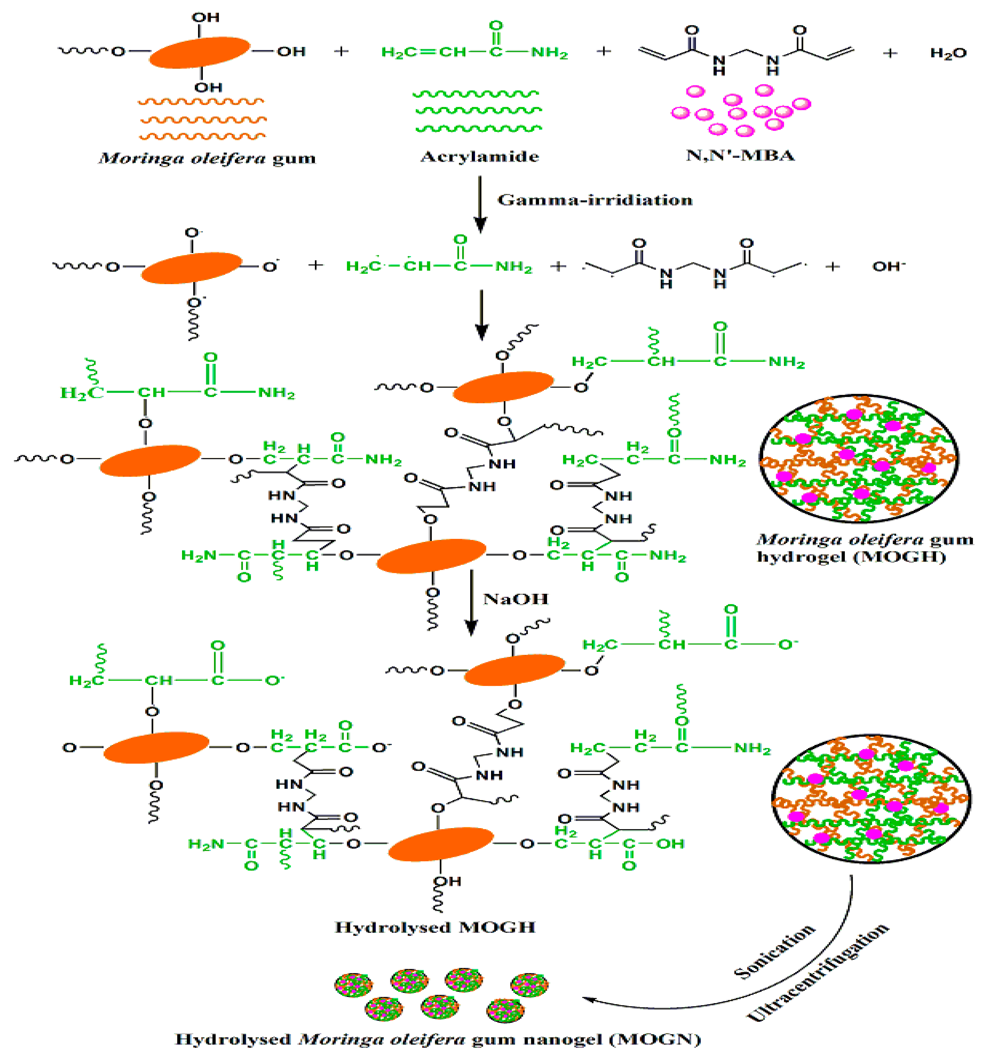 Polymers 14 04697 sch002