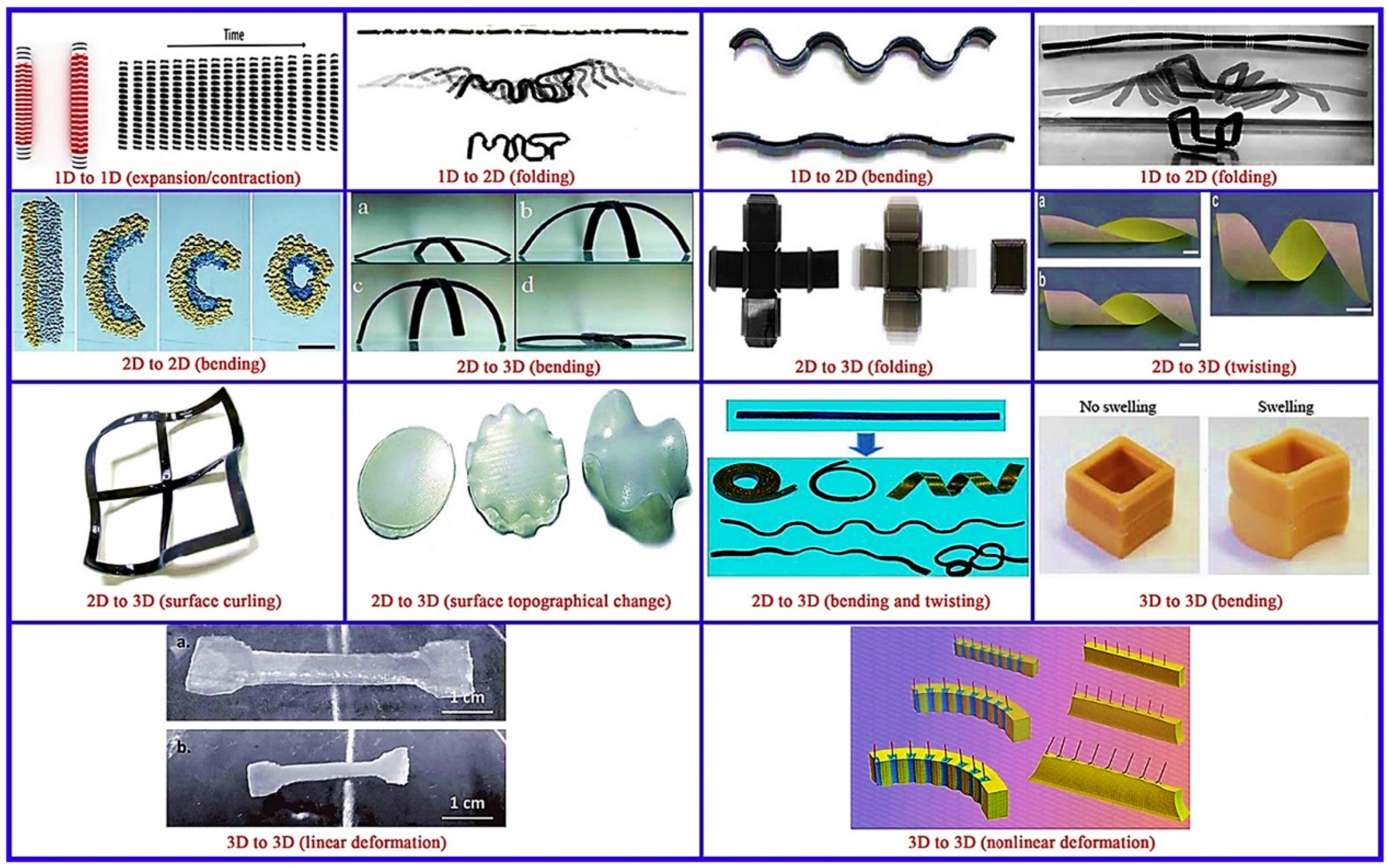 Polymers 14 04698 g003