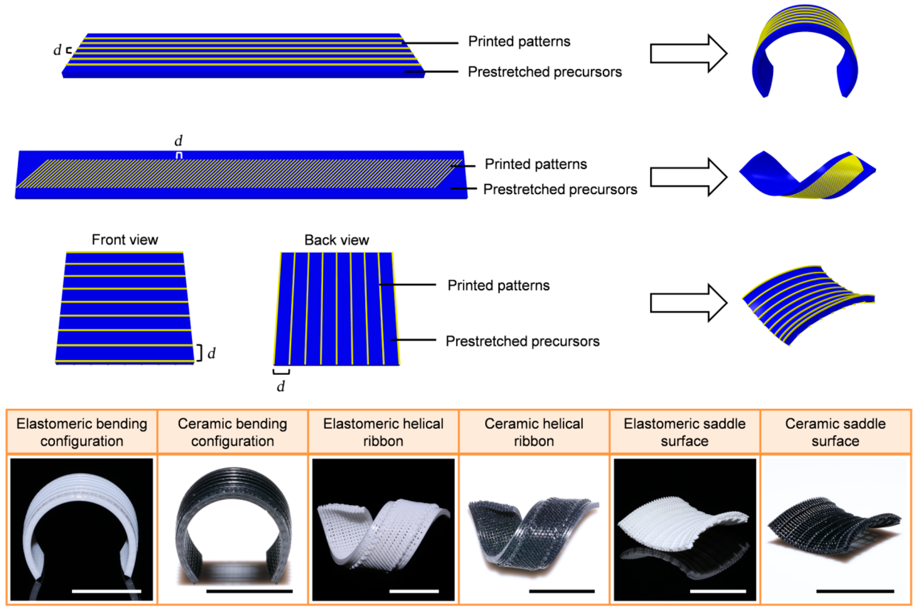 Polymers 14 04698 g007