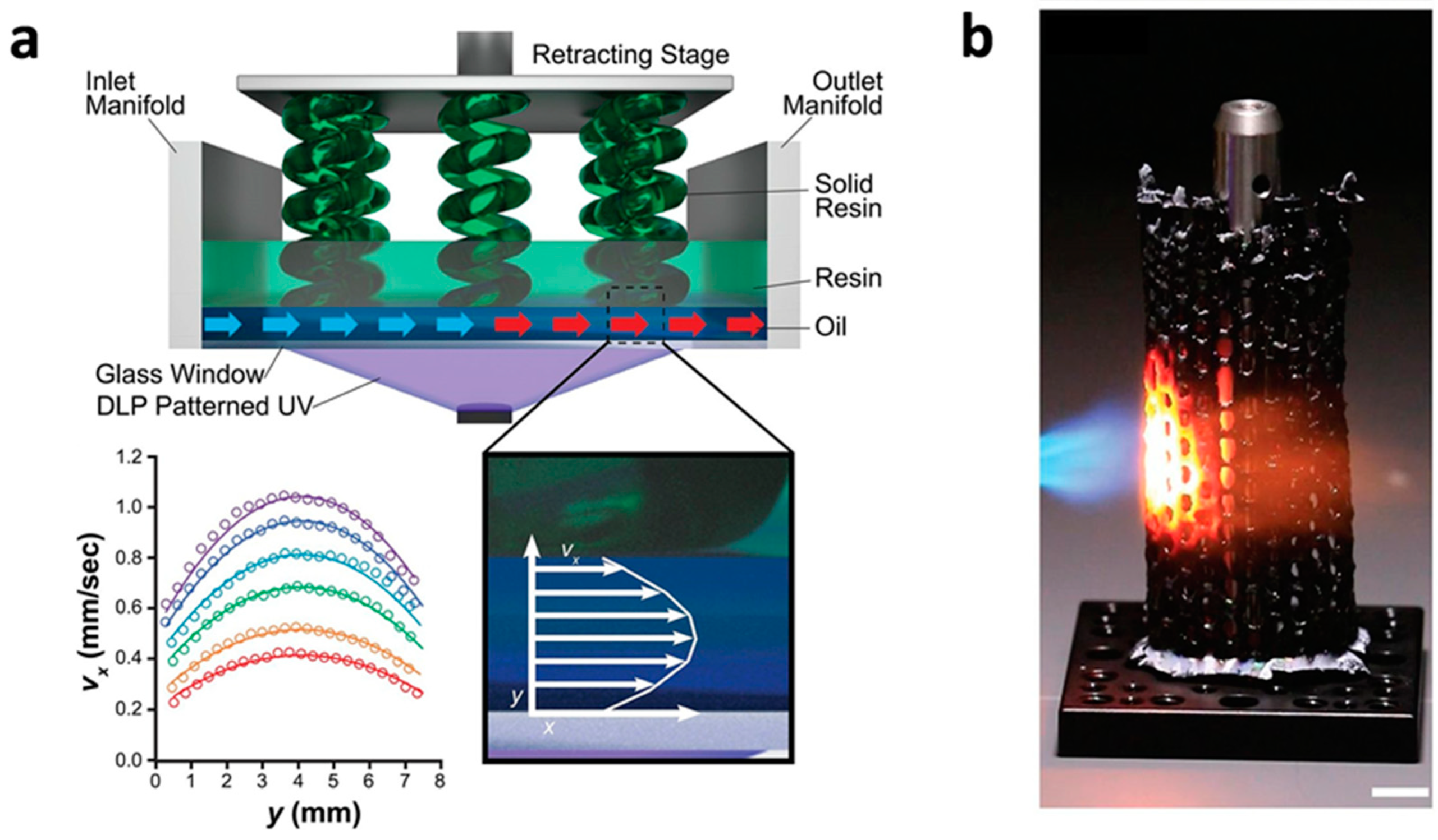 Polymers 14 04698 g008
