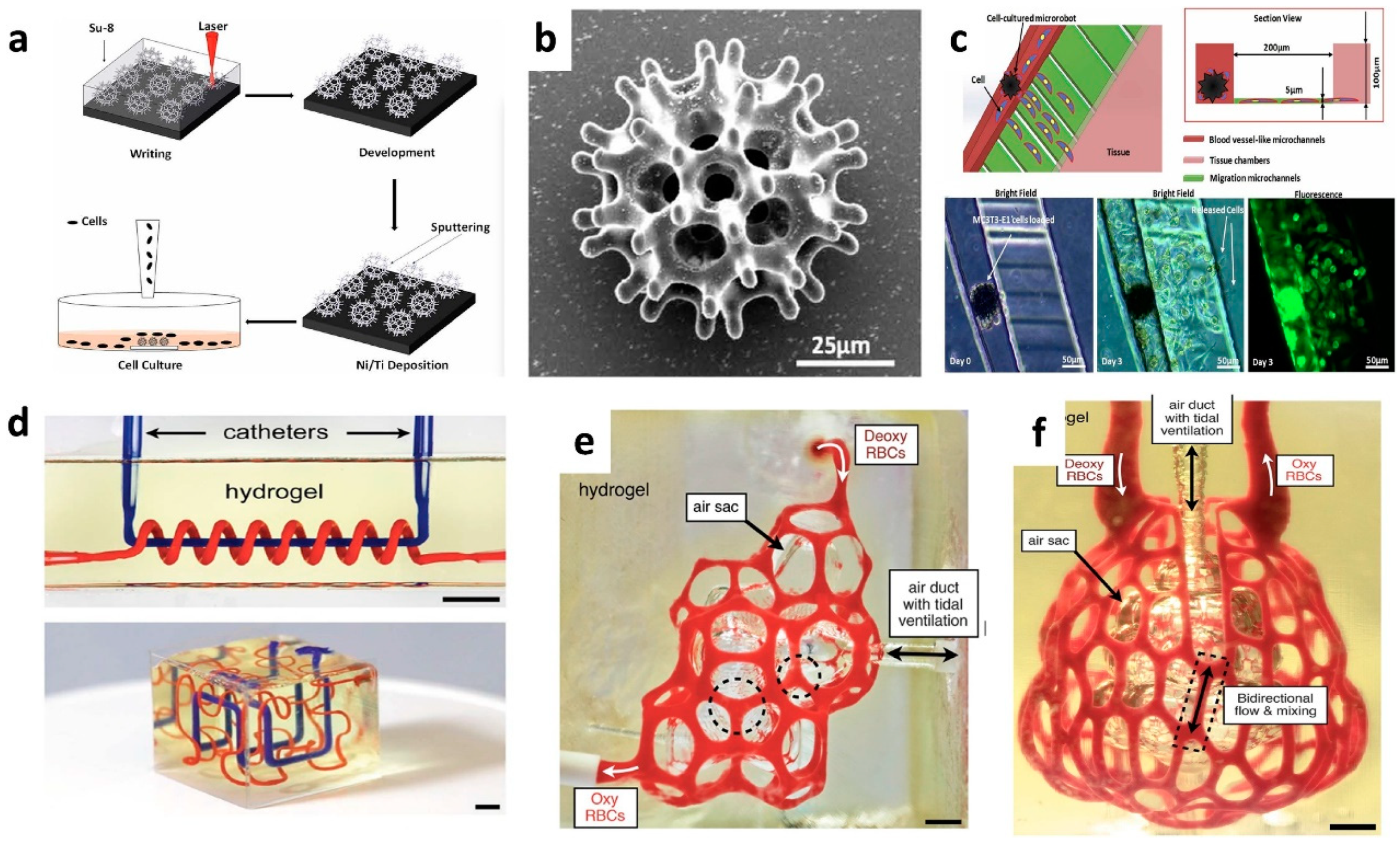 Polymers 14 04698 g010
