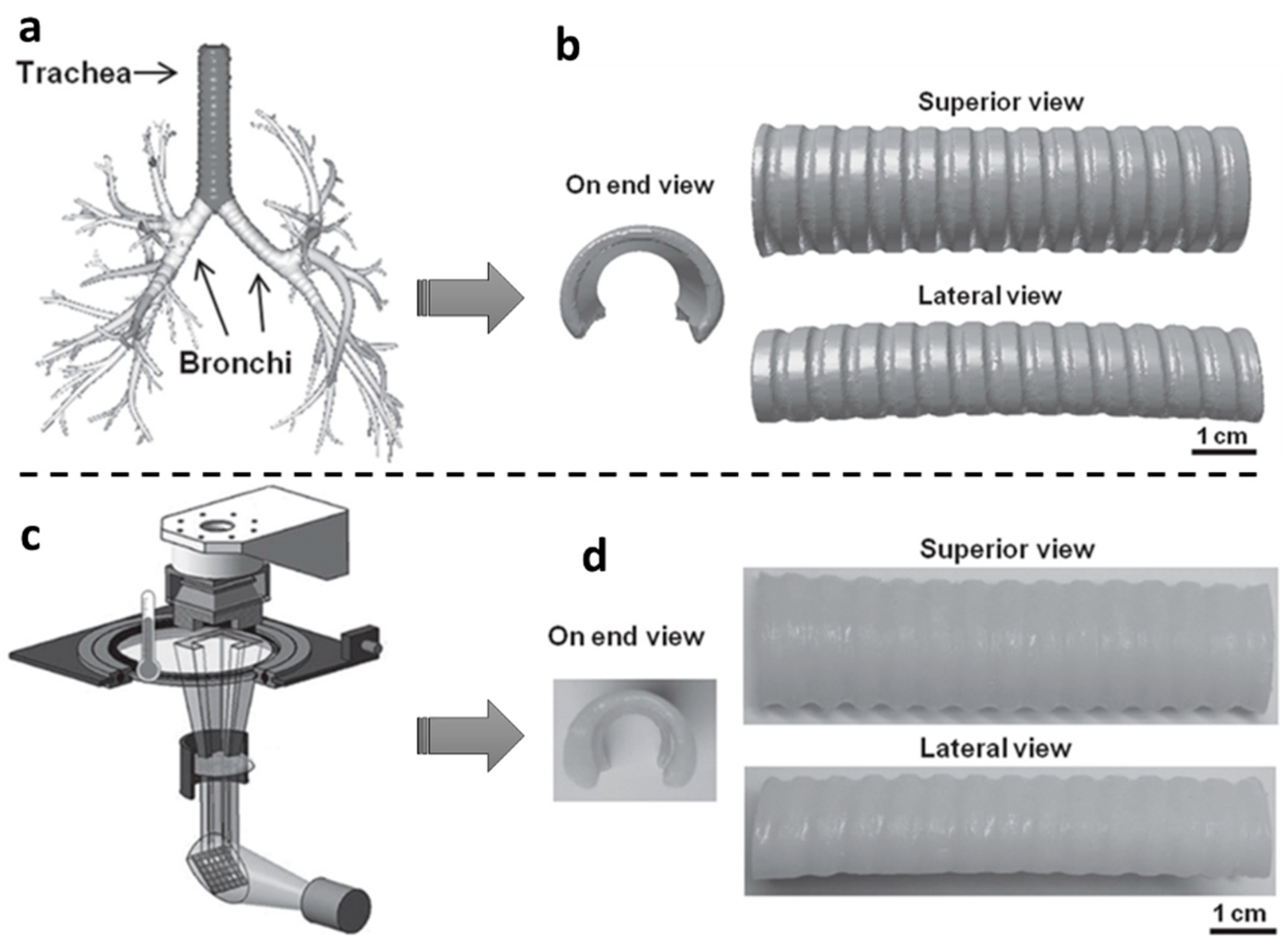 Polymers 14 04698 g011