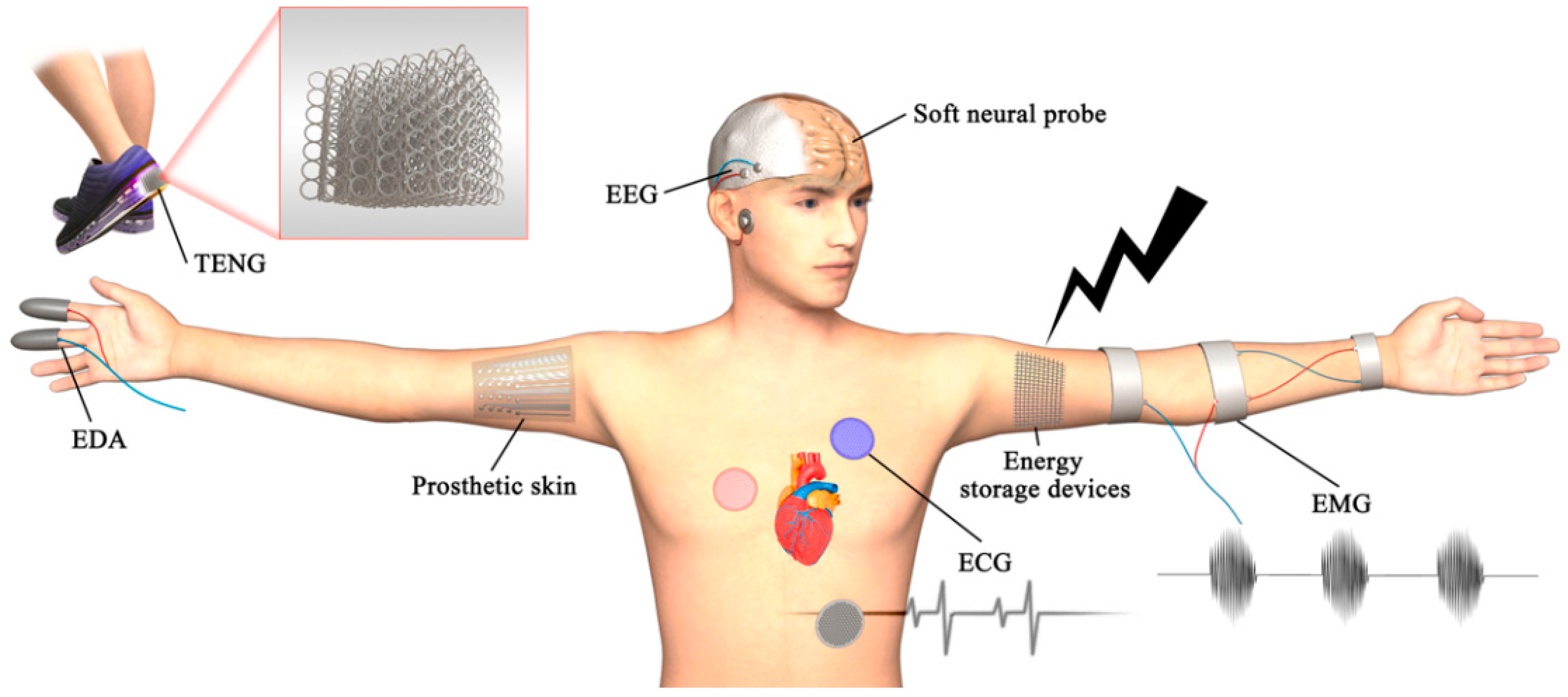 Polymers 14 04698 g016